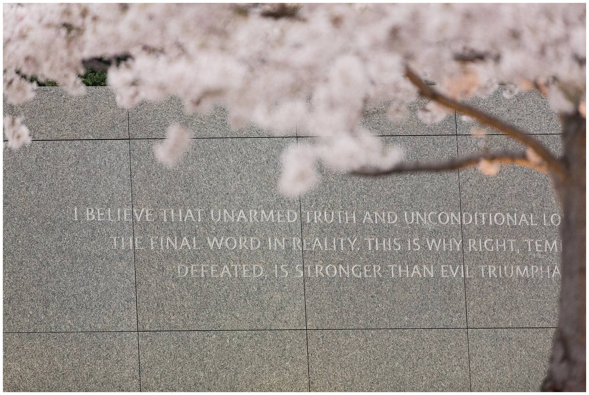 cherryblossoms_0018.jpg