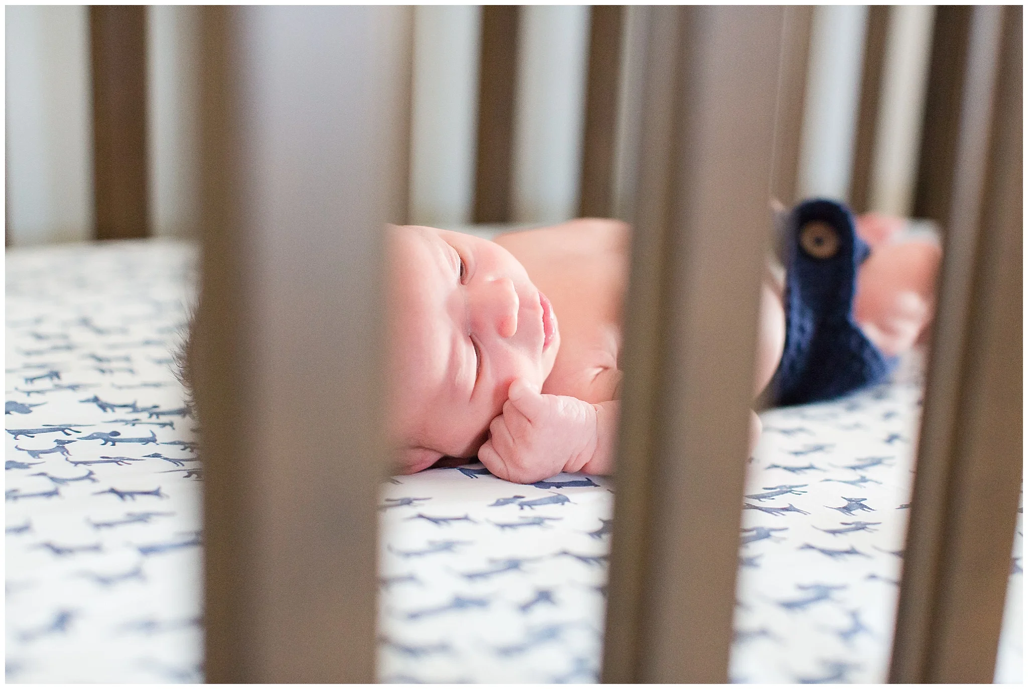 newborn_session_Hoynak_0020.jpg