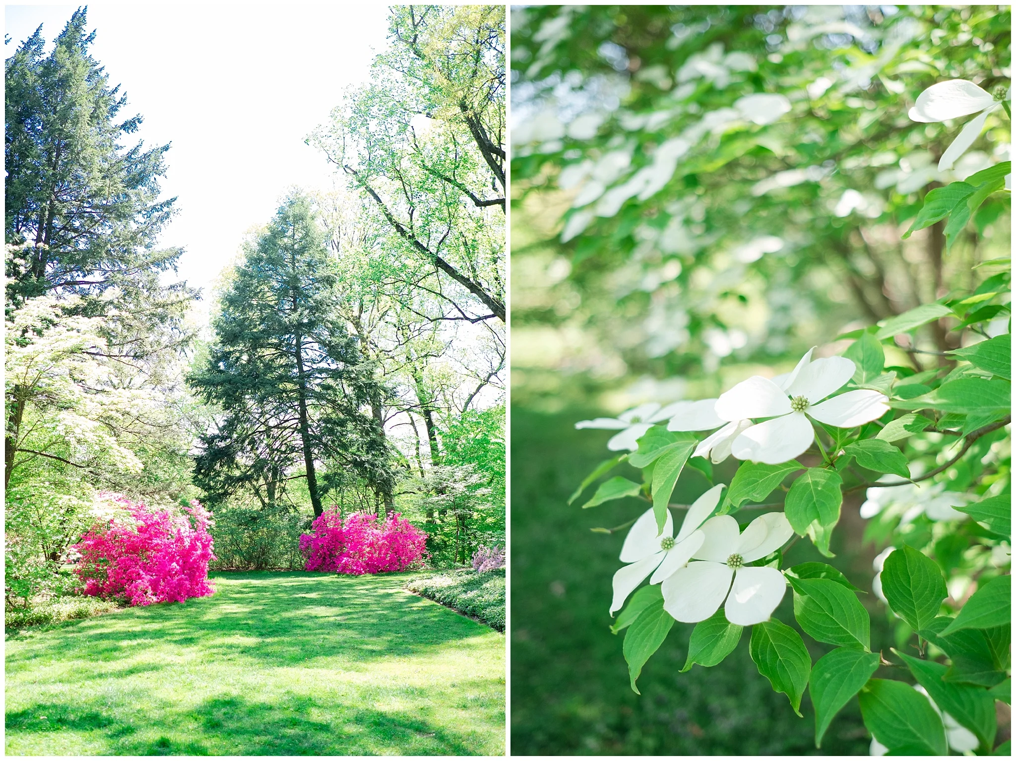 Arboretum_0002.jpg