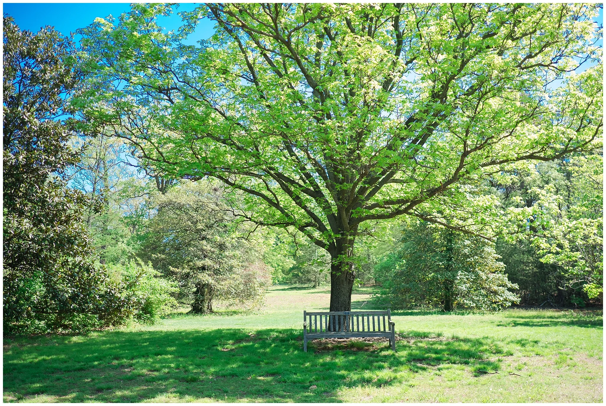 Arboretum_0007.jpg