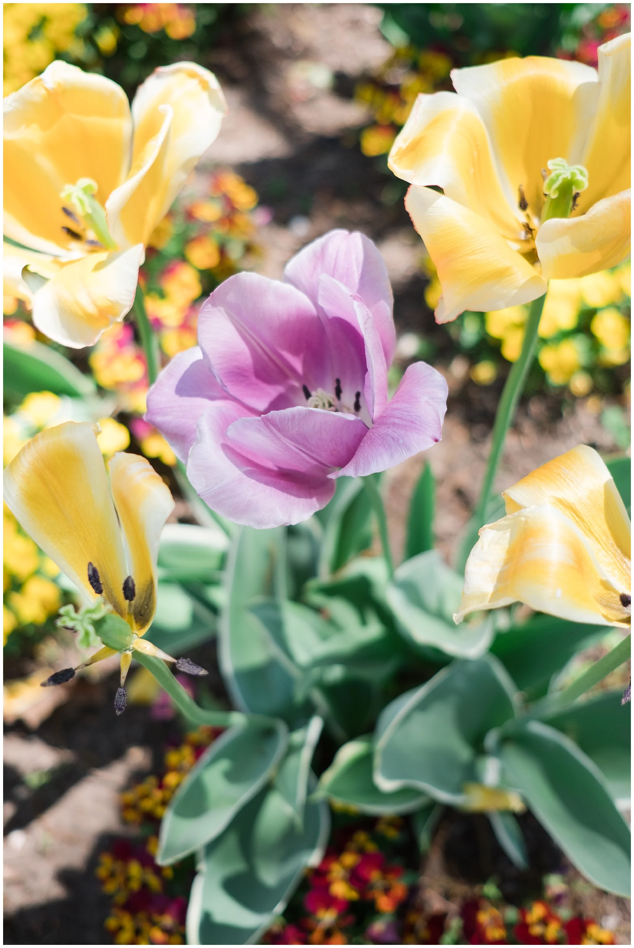 Arboretum_0011.jpg