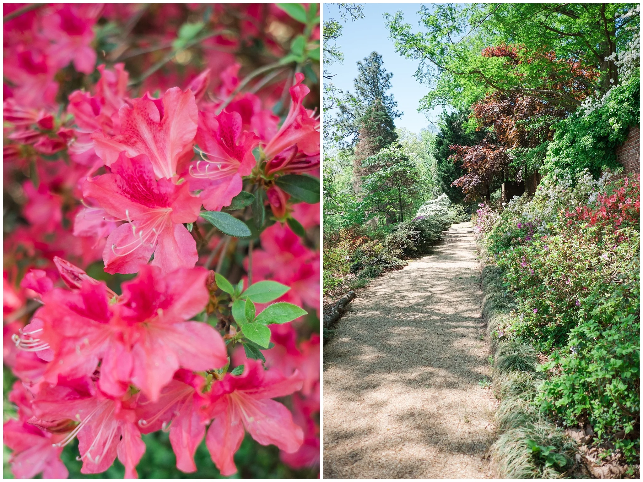 Arboretum_0014.jpg