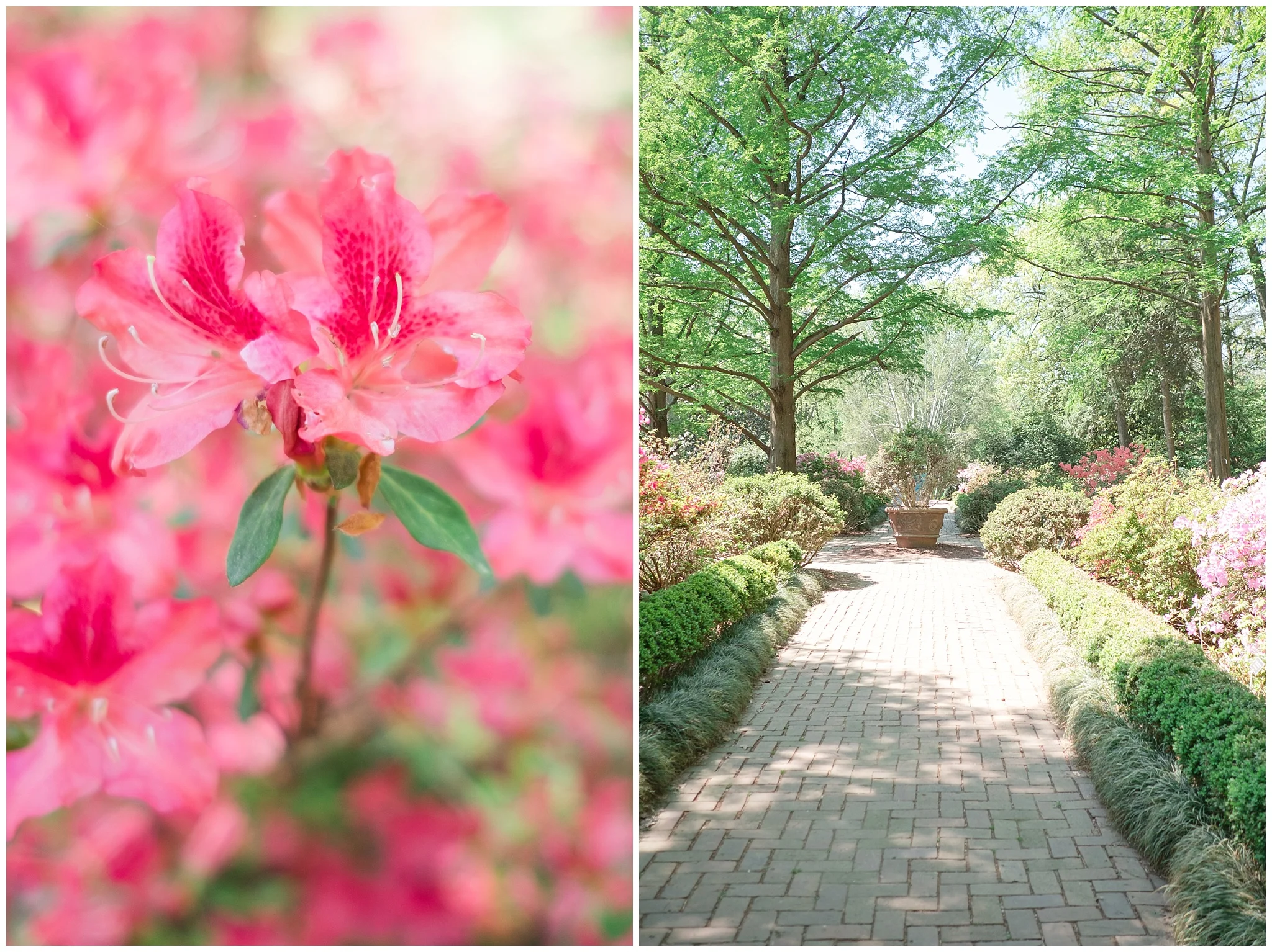 Arboretum_0016.jpg