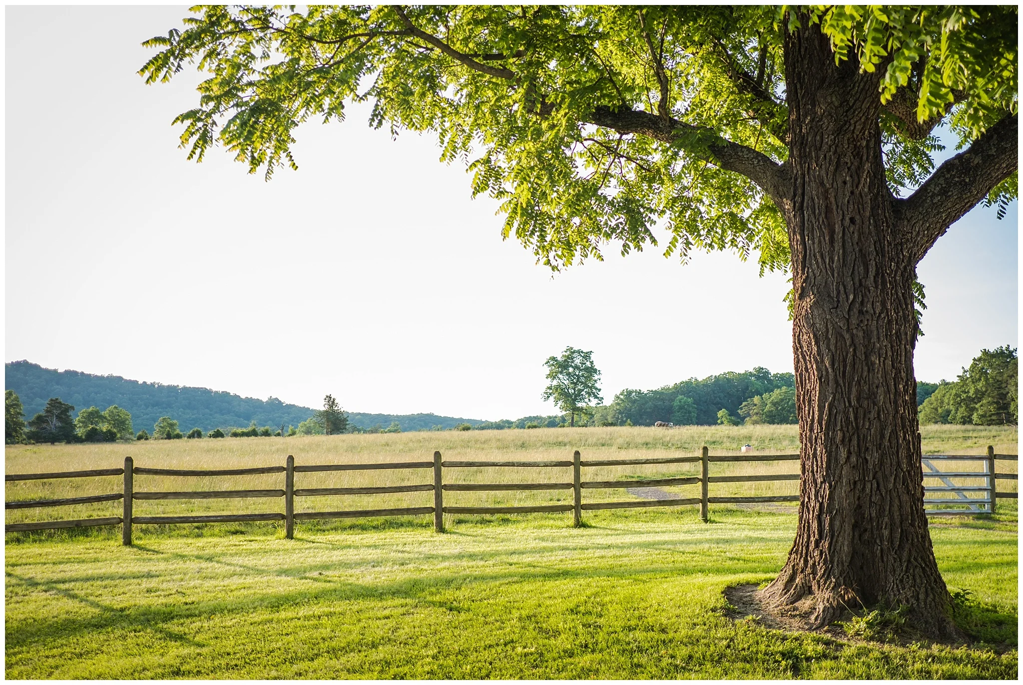 farmland outside of Winchester VA