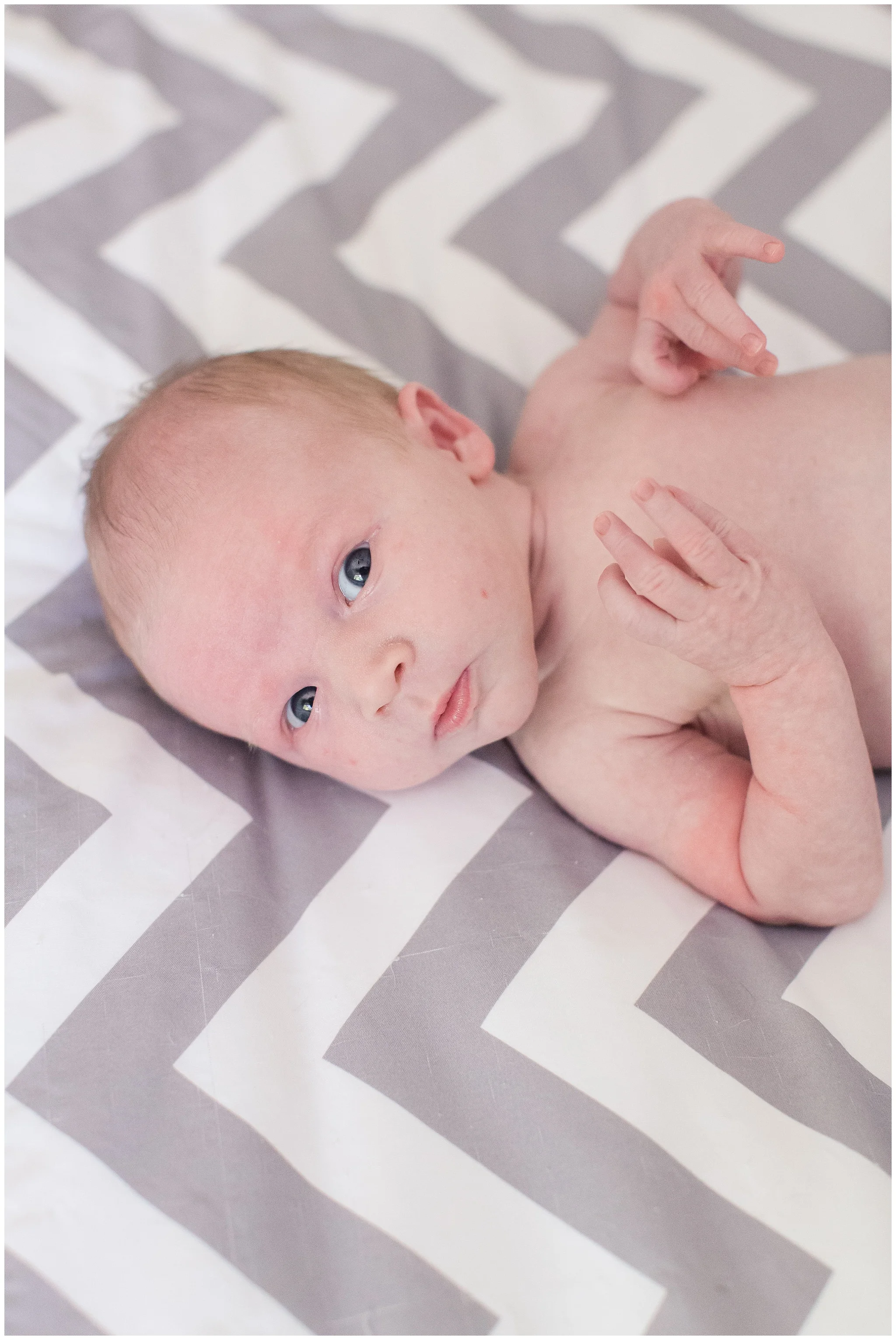 Family_newborn_Leonard_0018.jpg