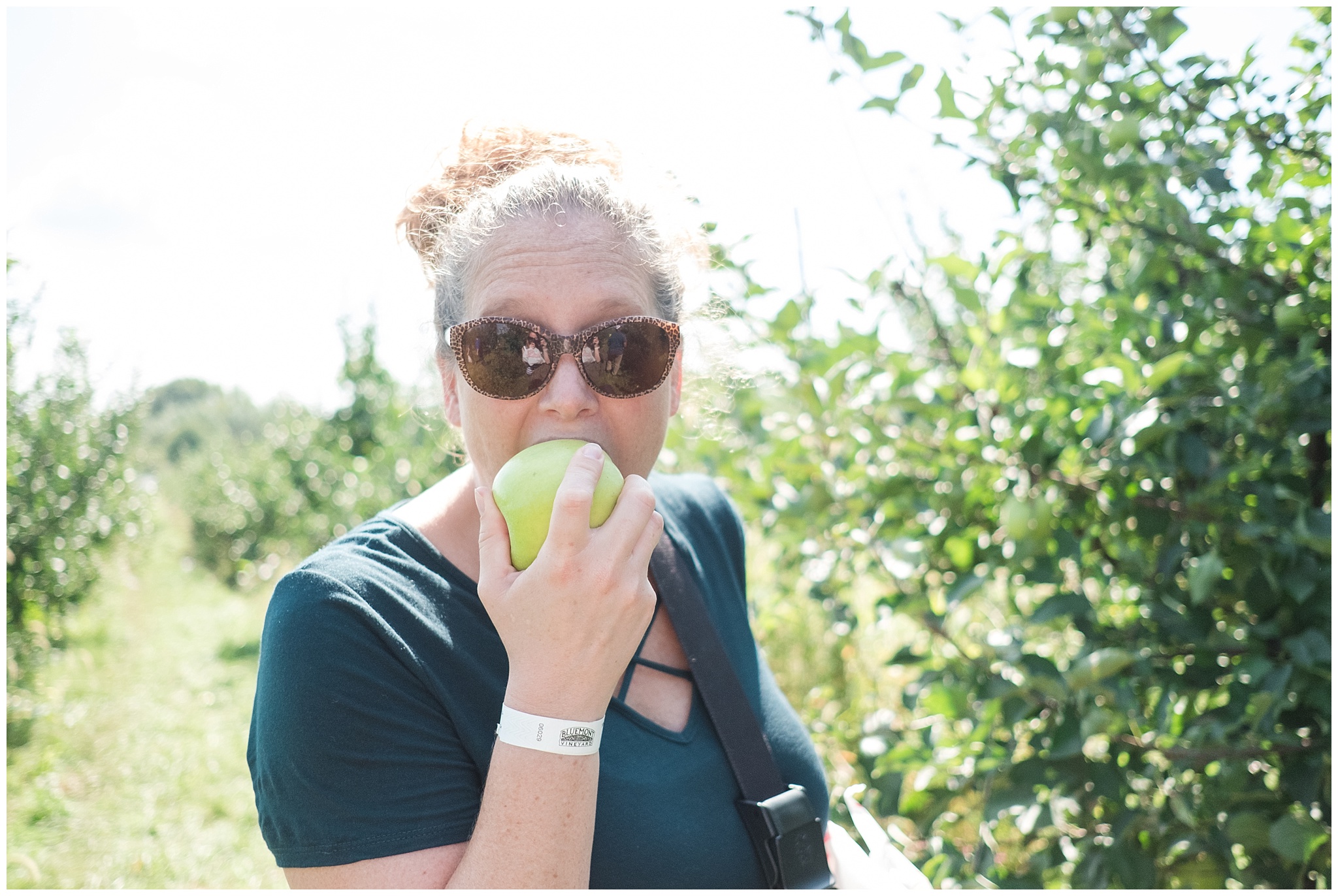 applepicking_0007.jpg