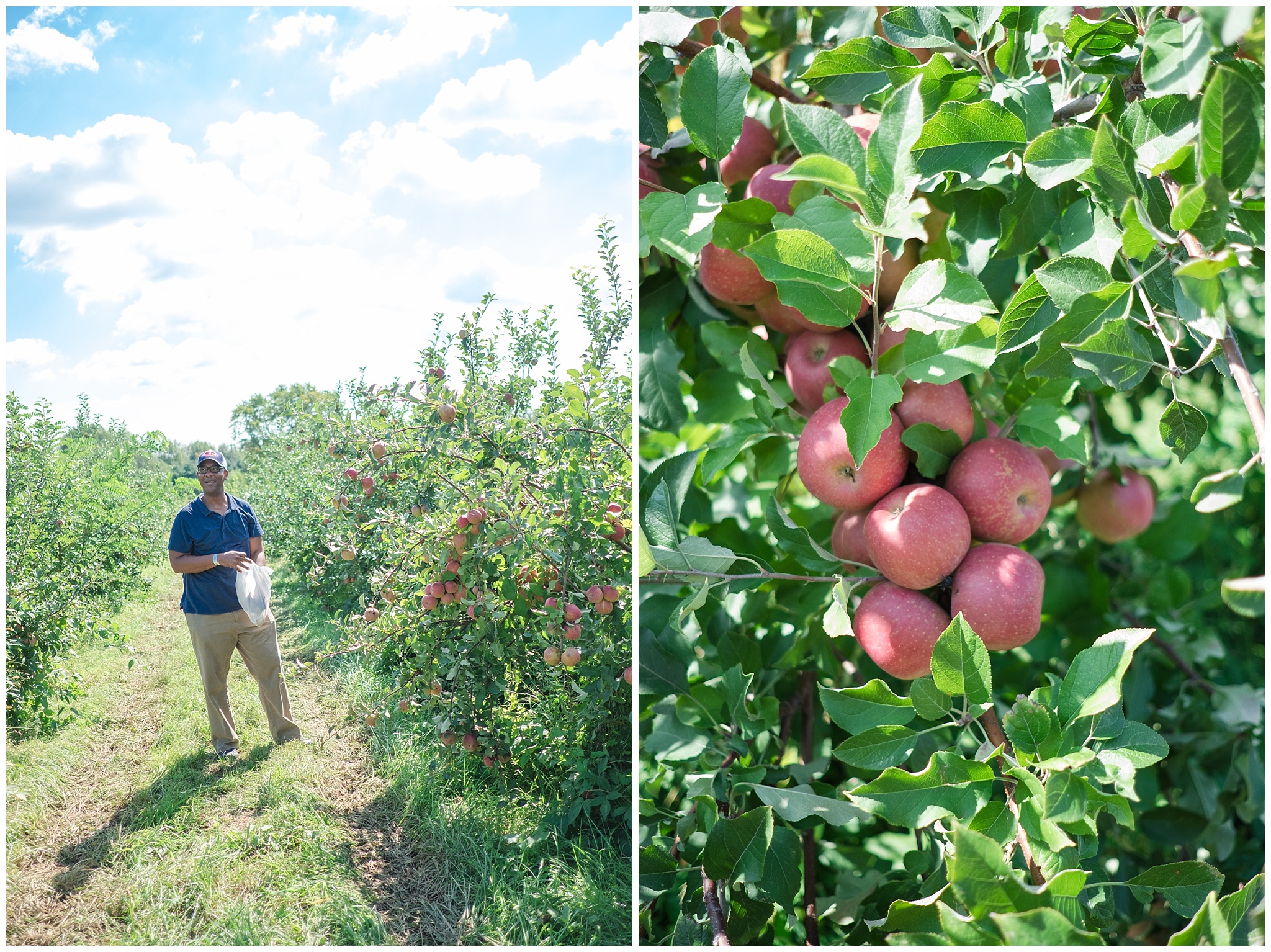 applepicking_0011.jpg