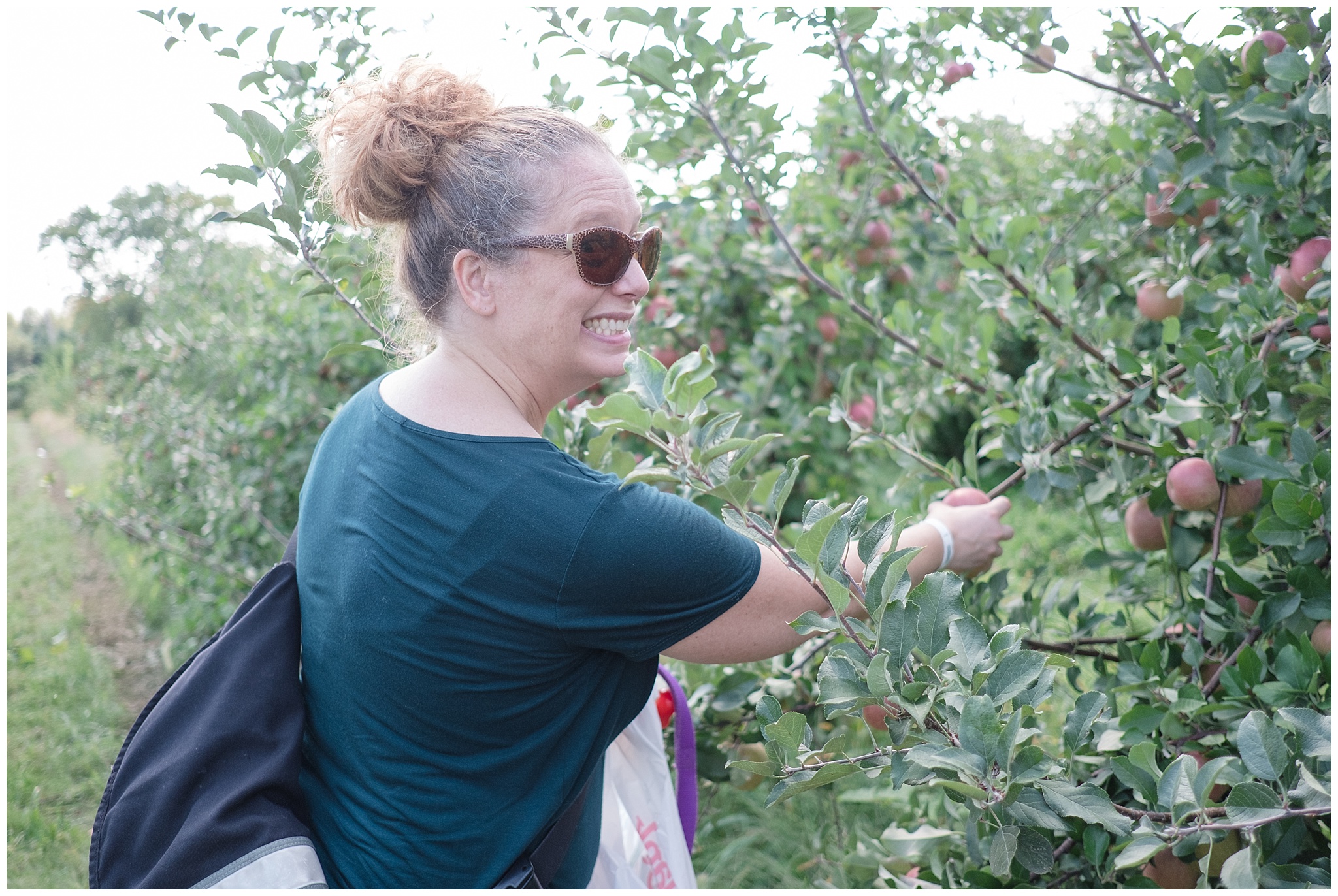 applepicking_0013.jpg