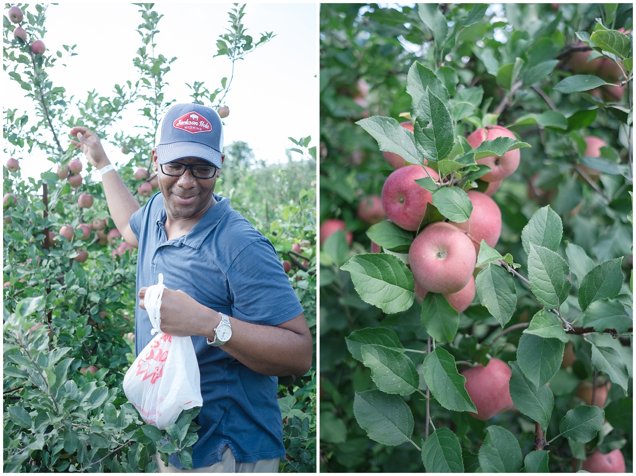 applepicking_0014.jpg