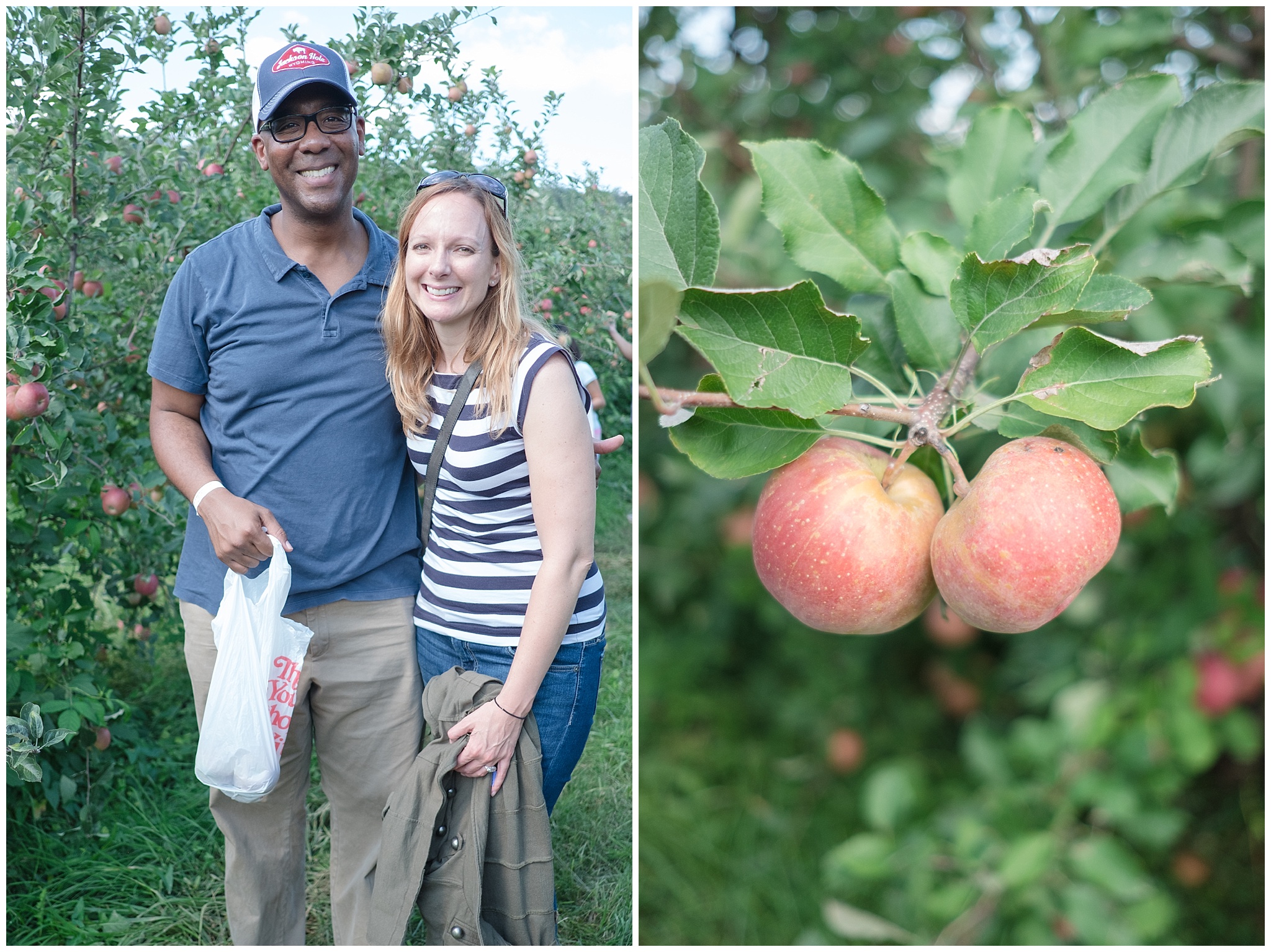 applepicking_0015.jpg