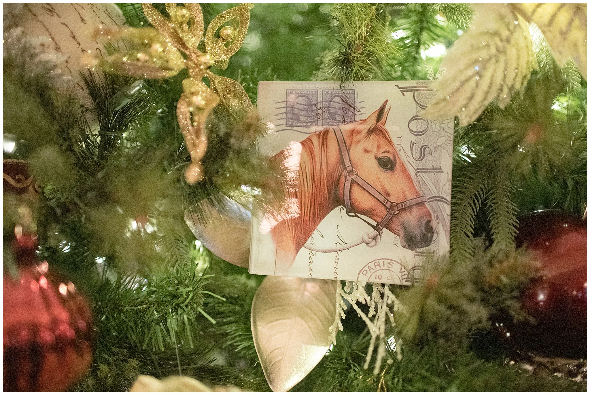 Christmas_week_0012.jpg