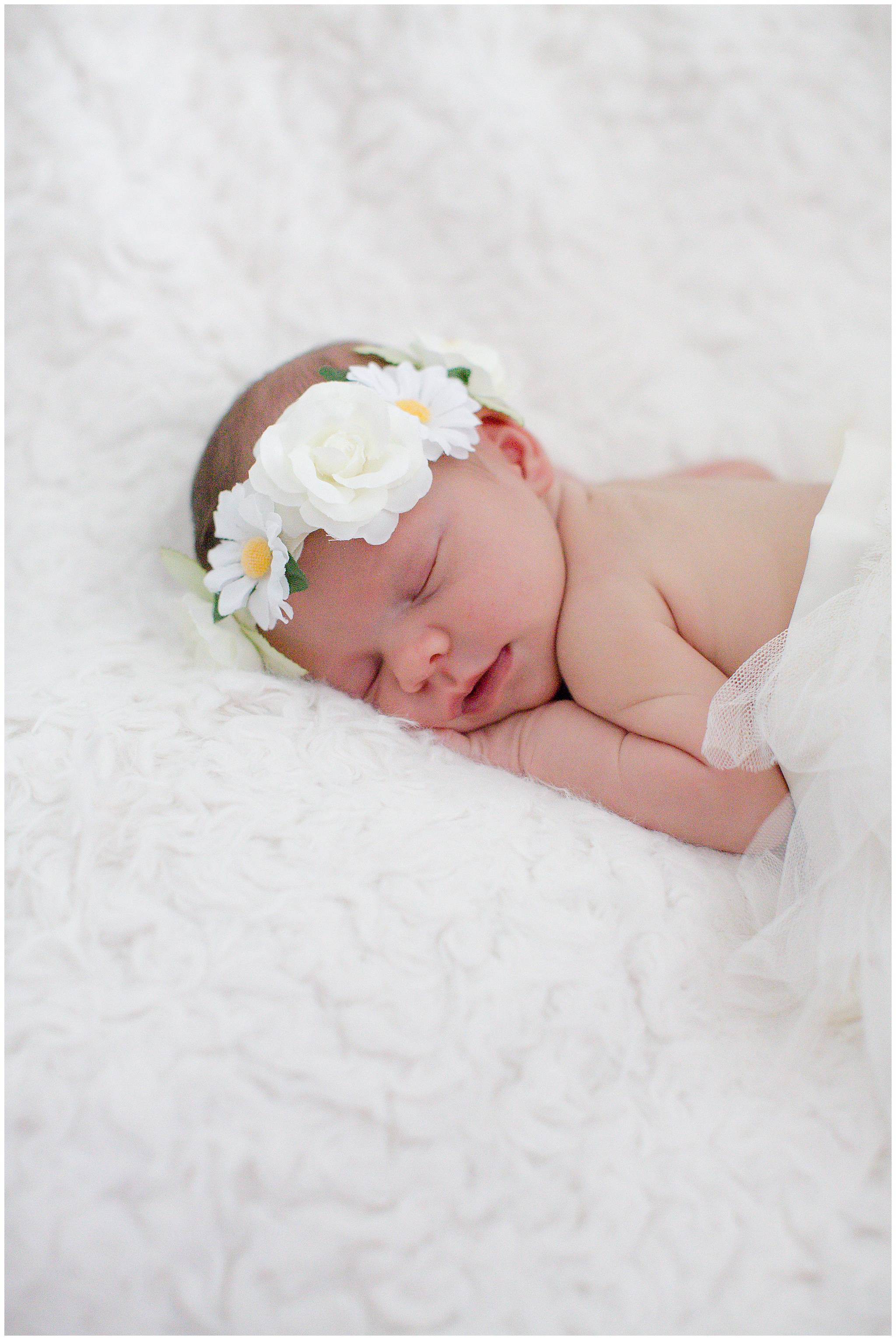 Letendre-newborn-session_0011.jpg