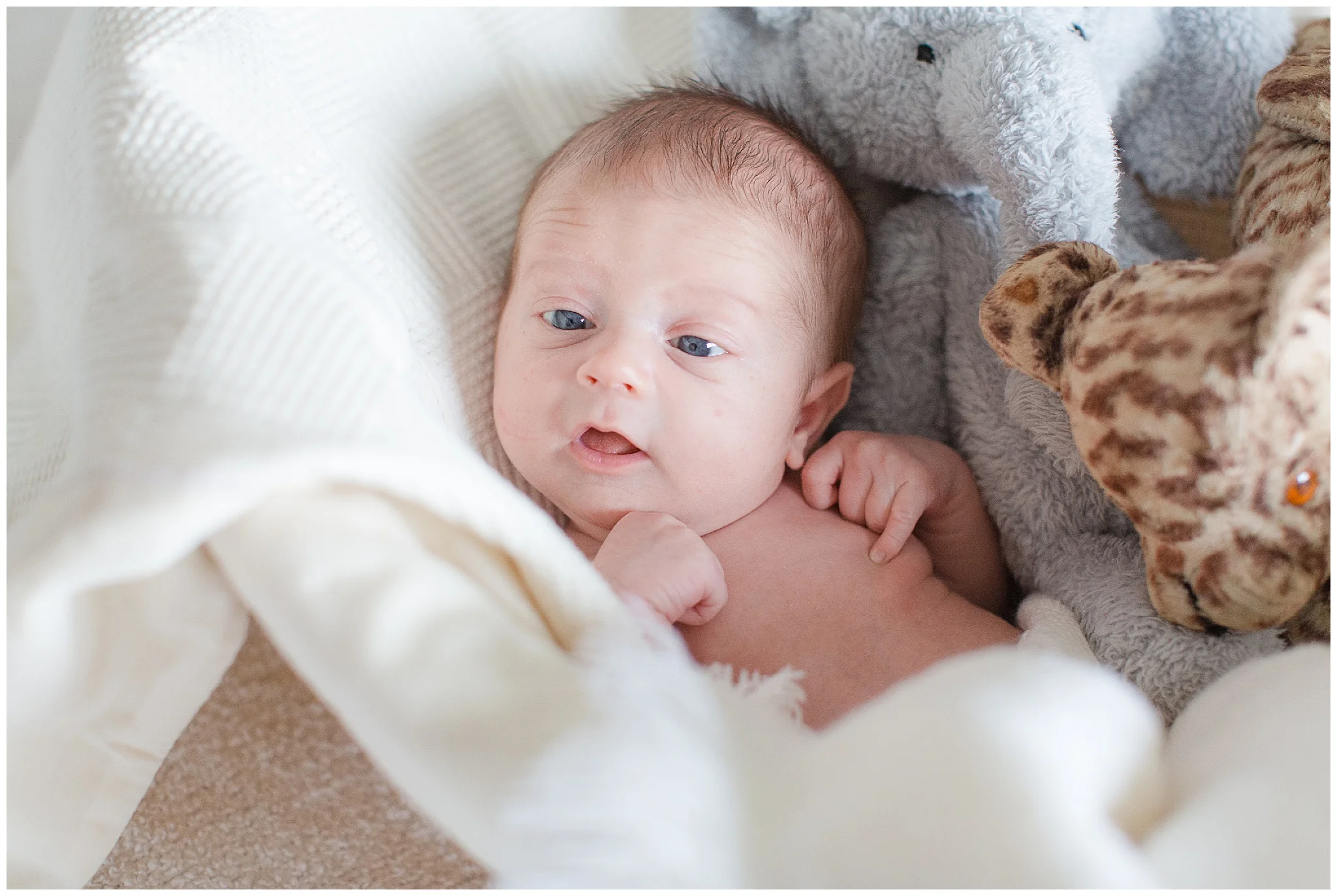Brooker-newborn_0030.jpg