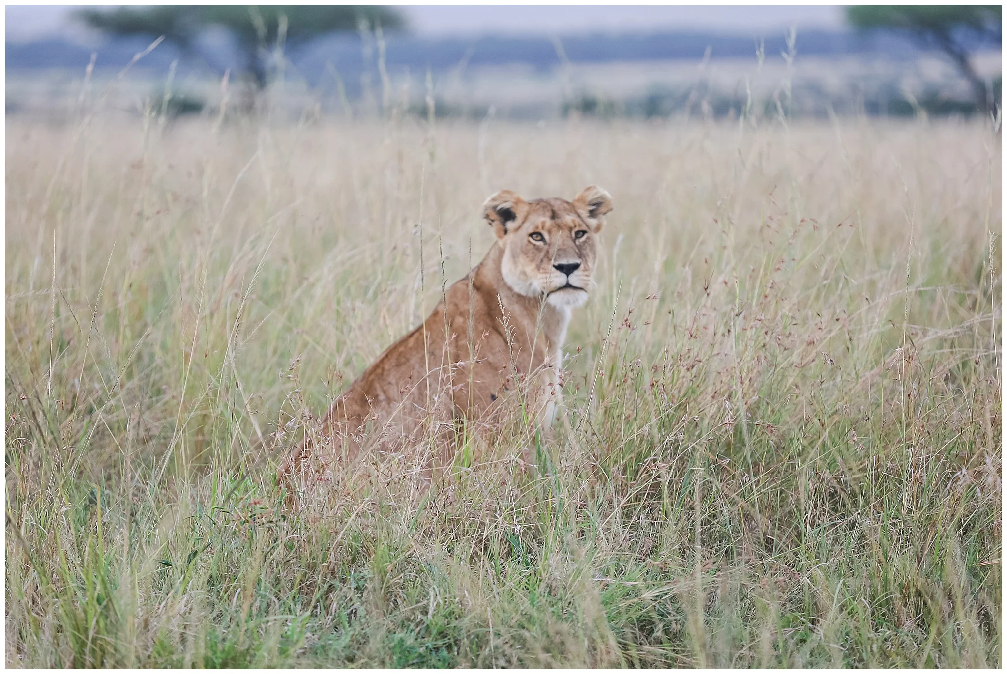 africa_0034.jpg