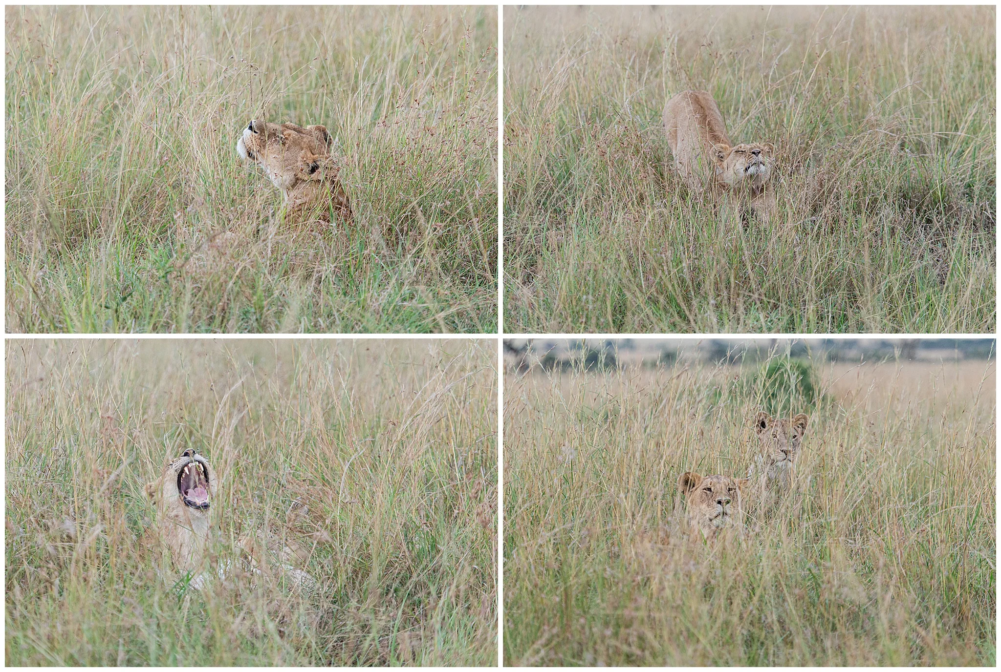 africa_0044.jpg