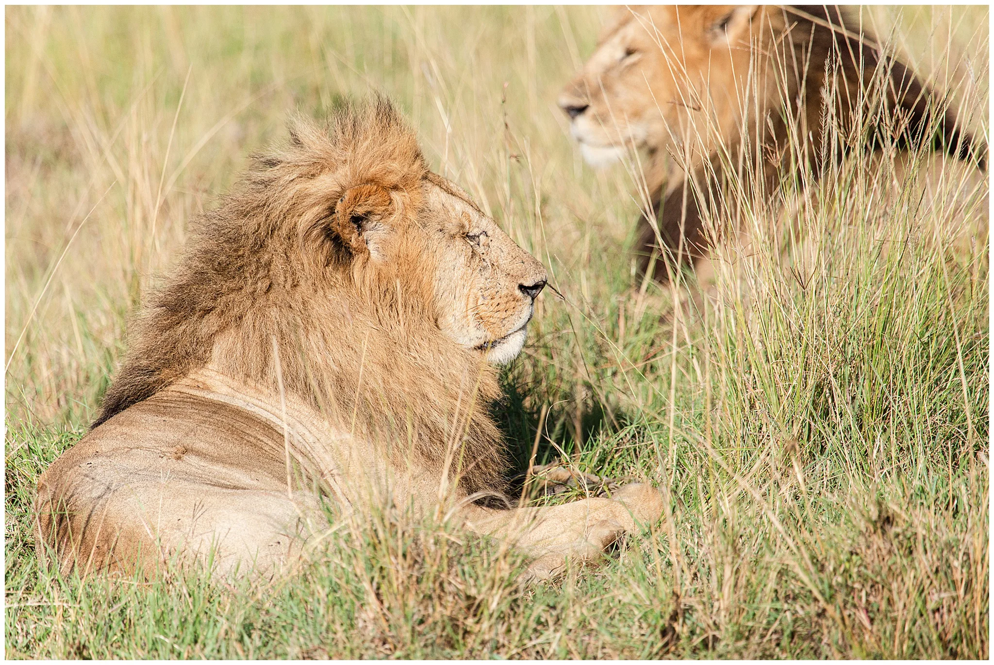 africa_0063.jpg