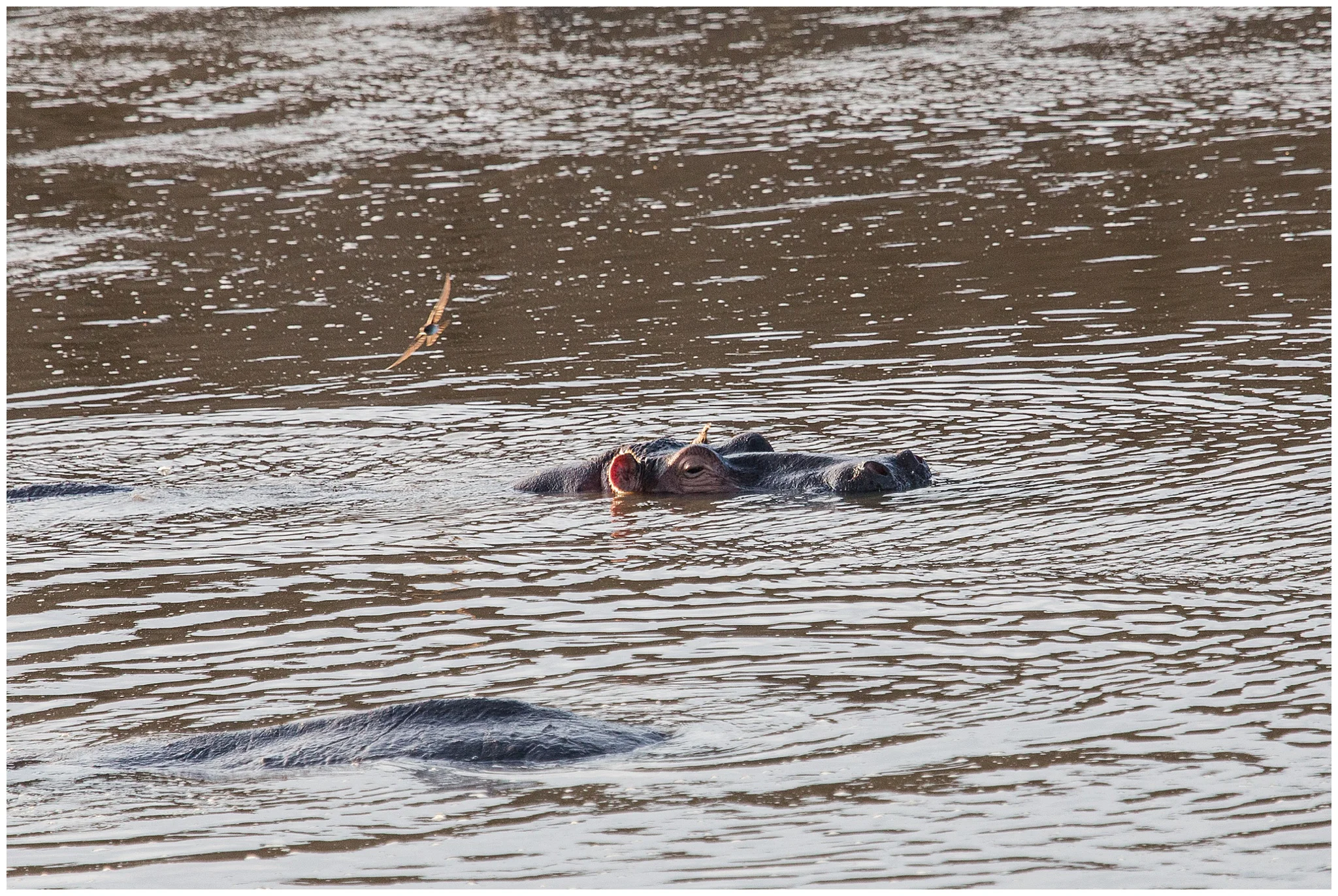 africa_0087.jpg