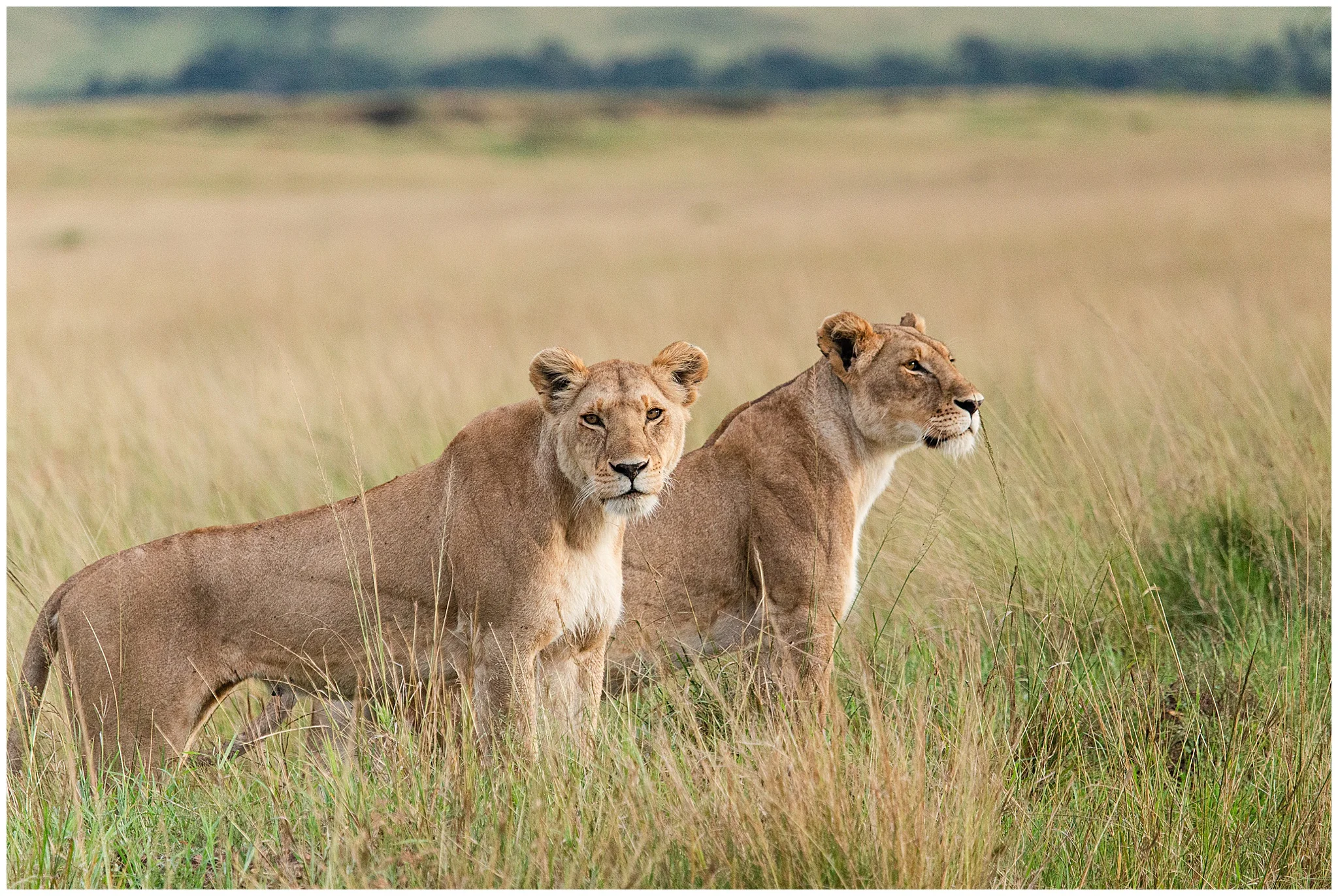 africa_0114.jpg