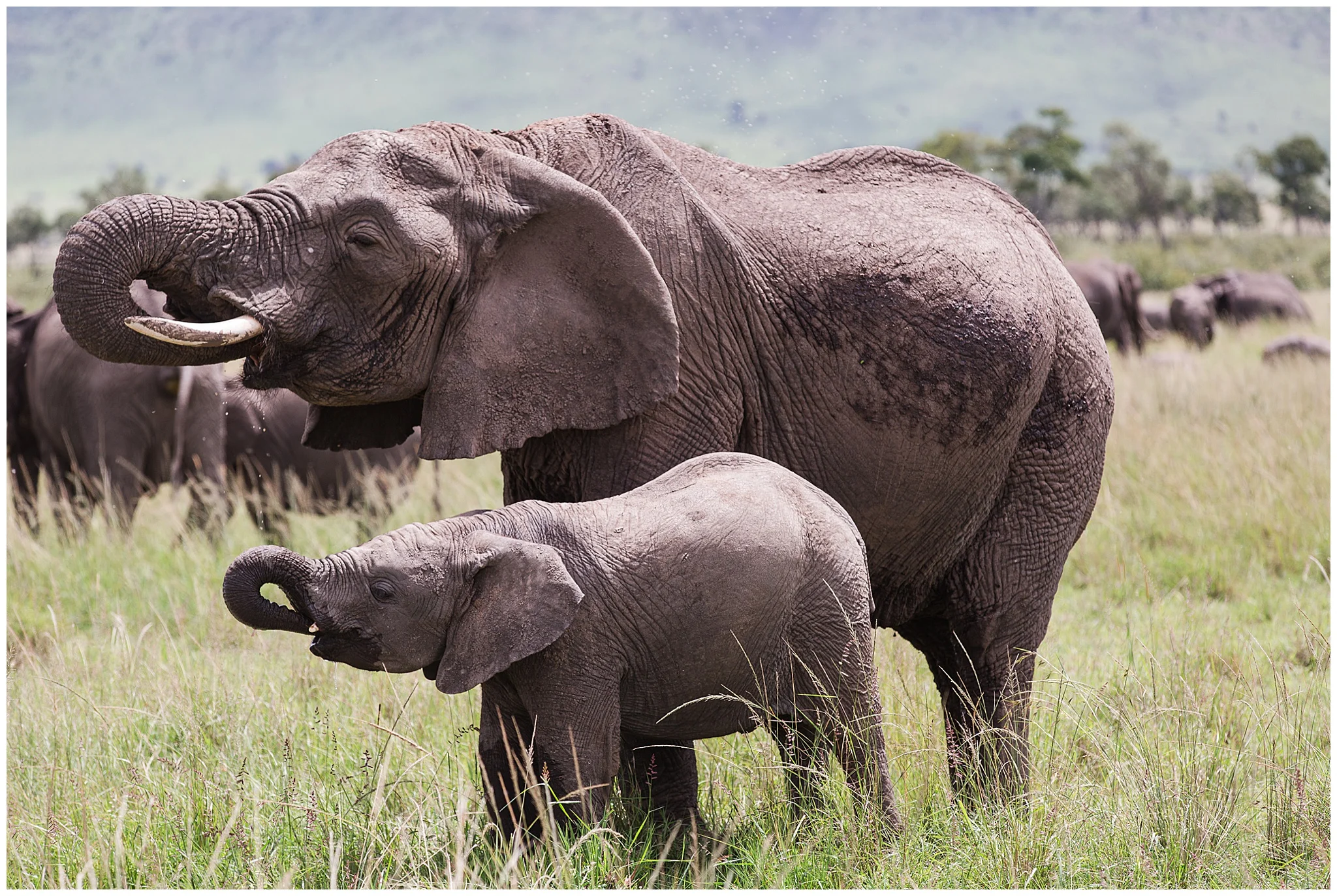 africa_0140.jpg