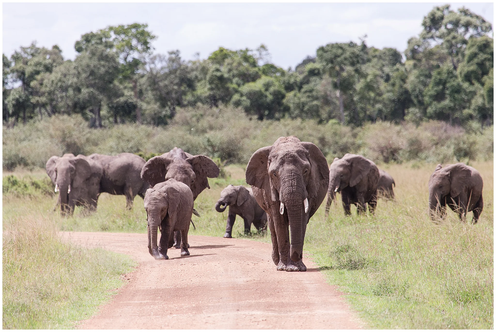 africa_0142.jpg