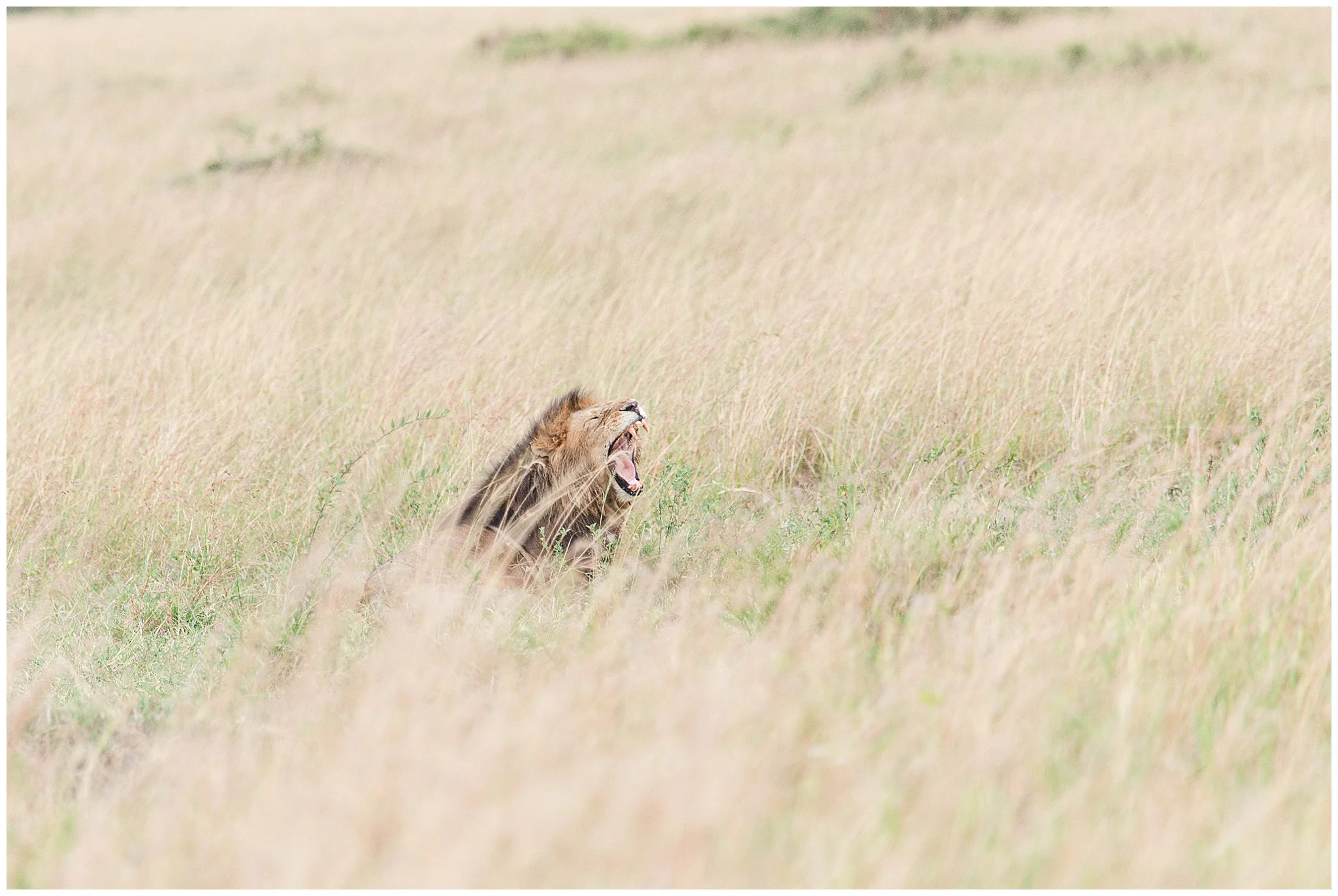 africa_0156.jpg