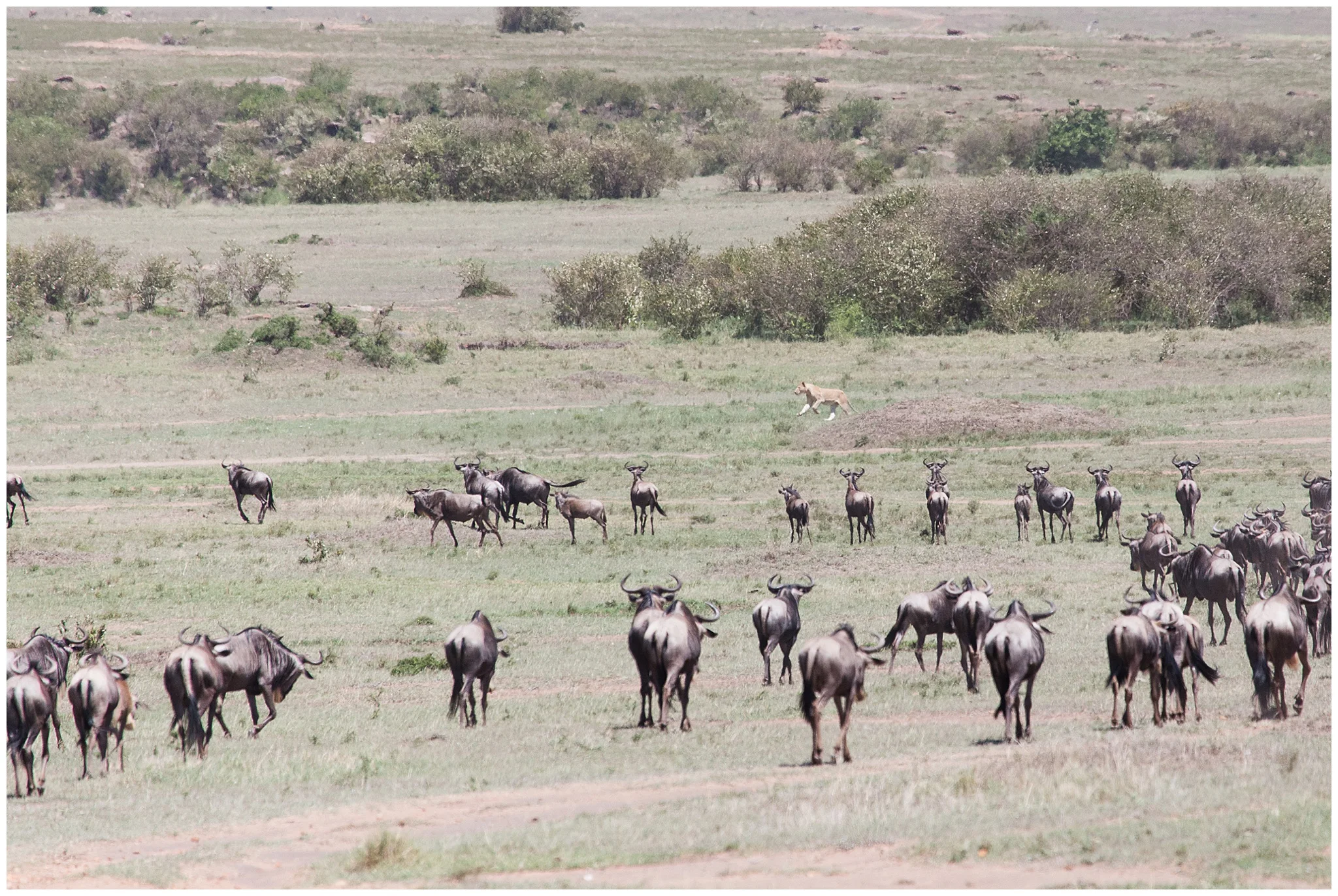 africa_0192.jpg