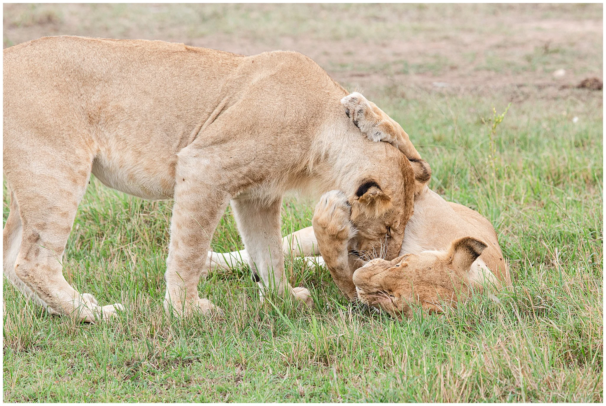 africa_0210.jpg