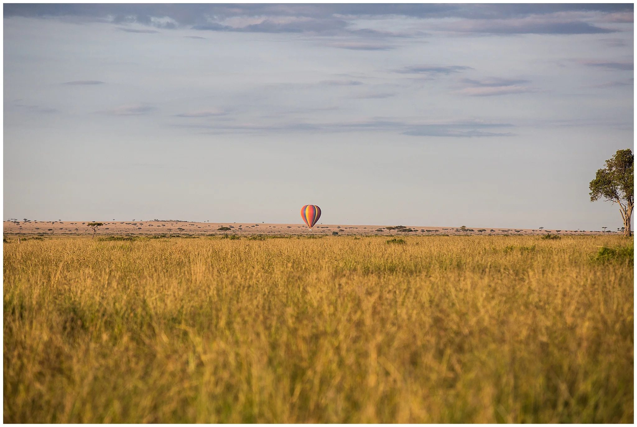 africa_0230.jpg