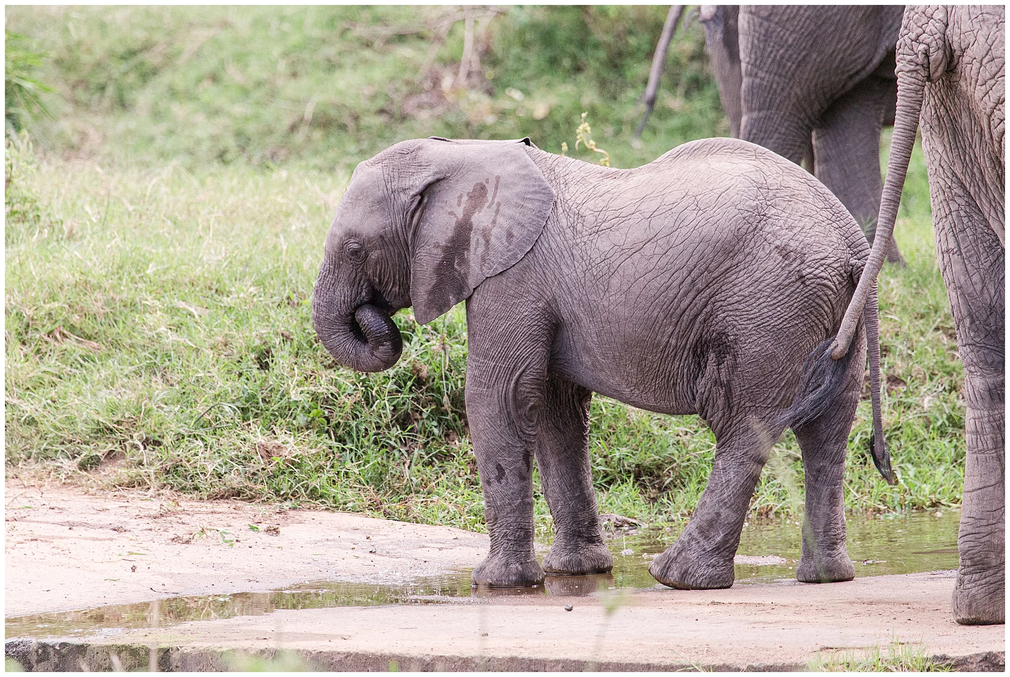 africa_0240.jpg