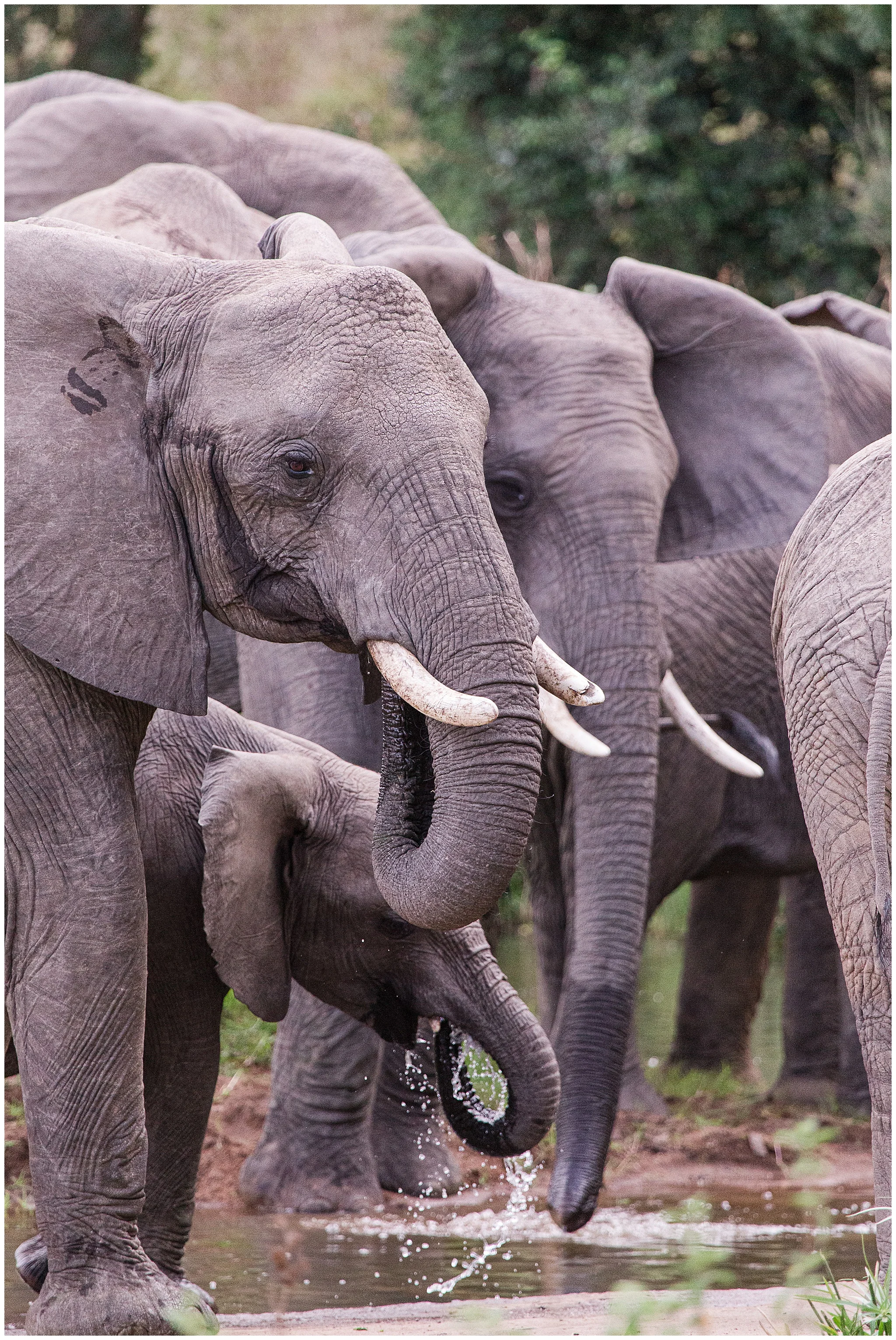 africa_0241.jpg