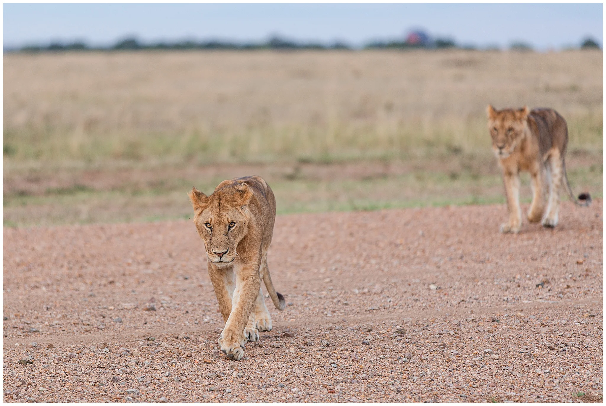 africa_0255.jpg