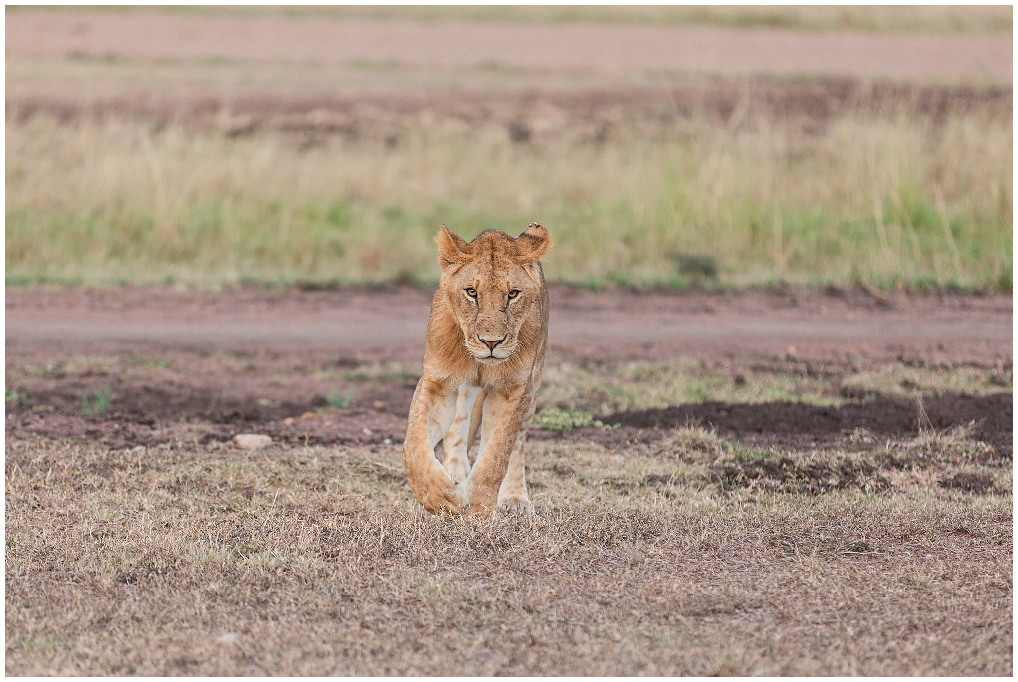 africa_0256.jpg