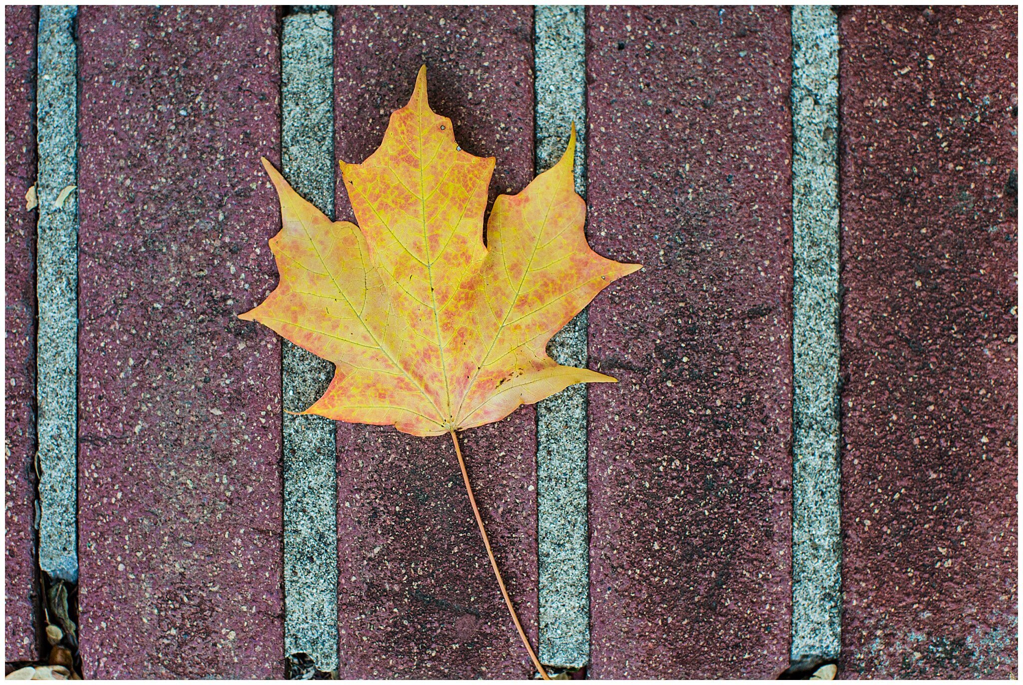 October-familymini_0052 (1).jpg