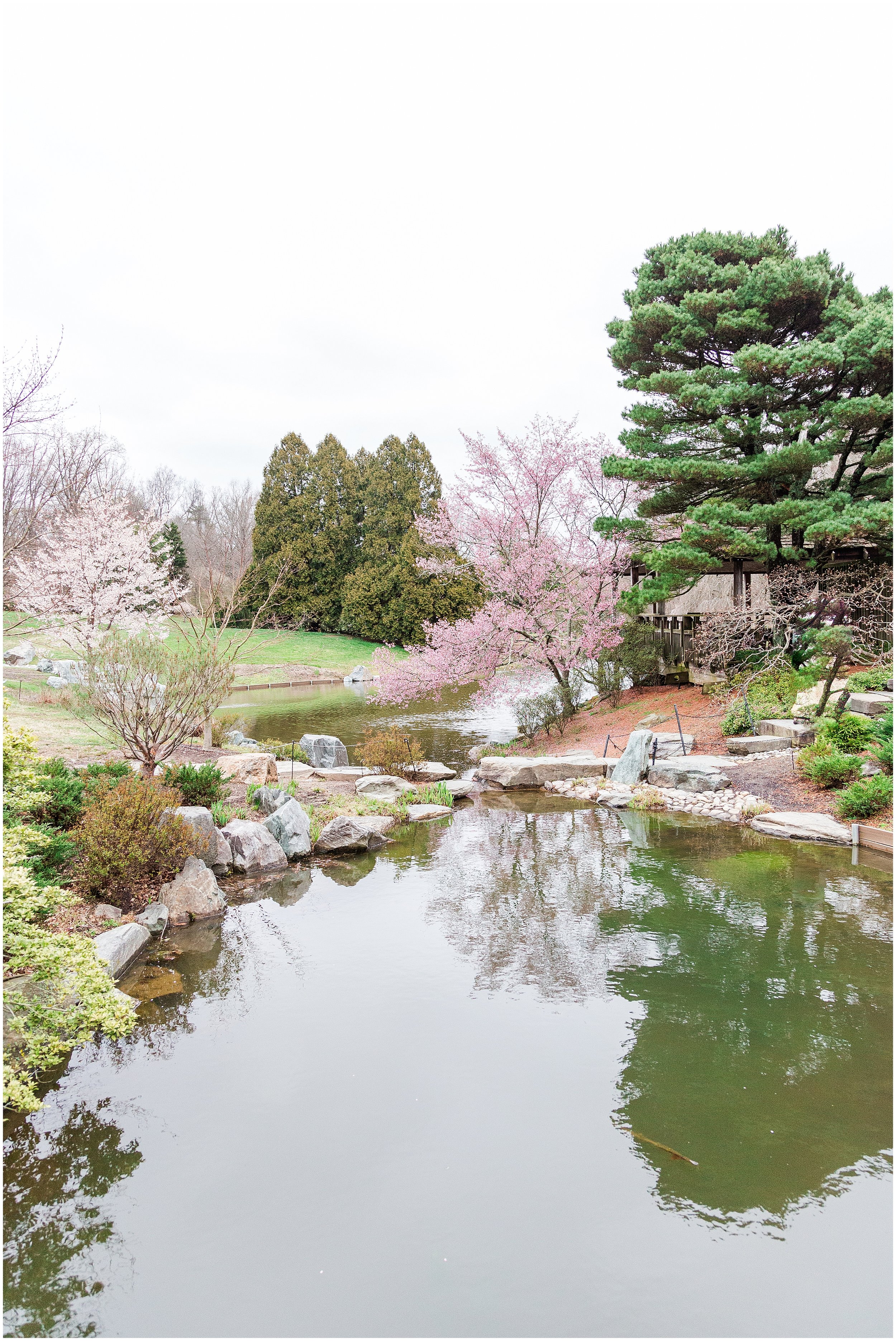 cherry-blossoms-dc-brooksidegardens-spring-2024_0016.jpg