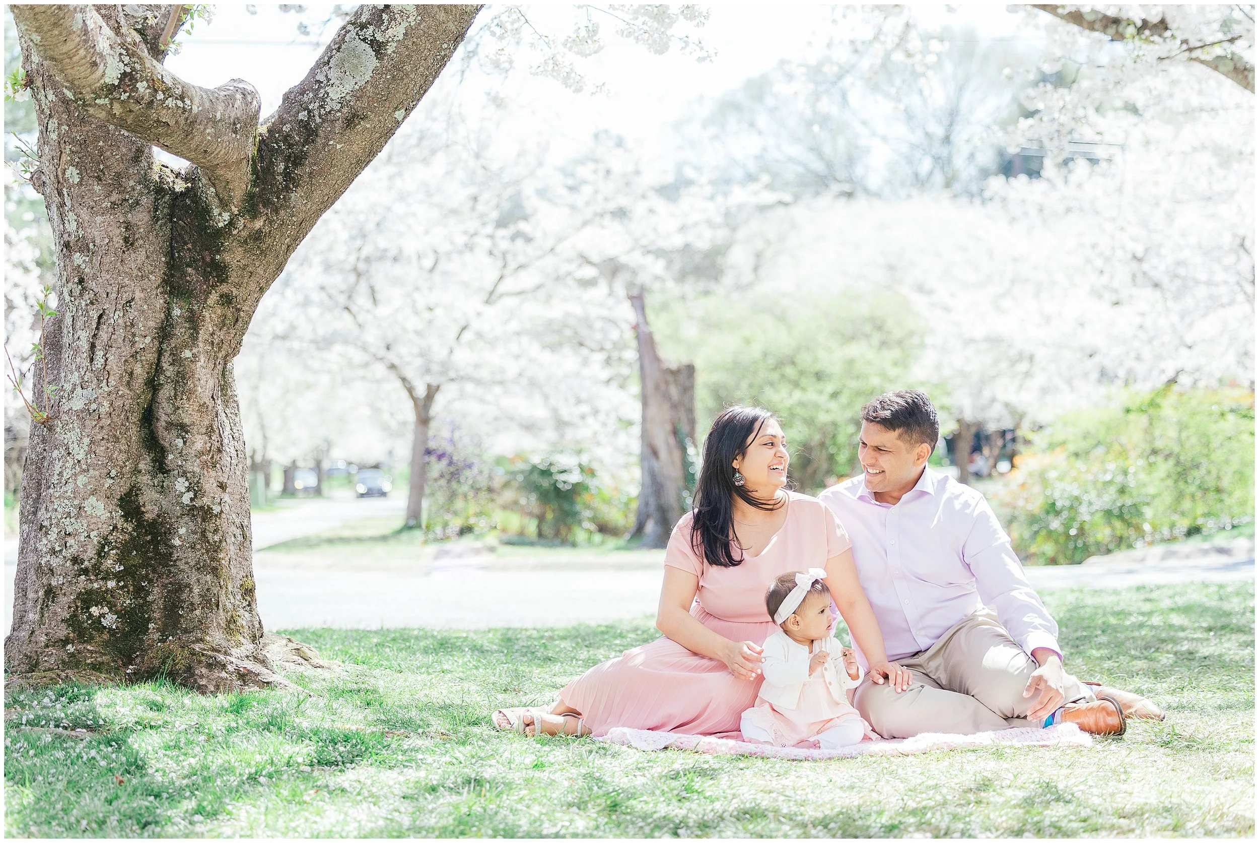 Family sitting together under cherry blossoms during a spring photo session in Betheda, MD