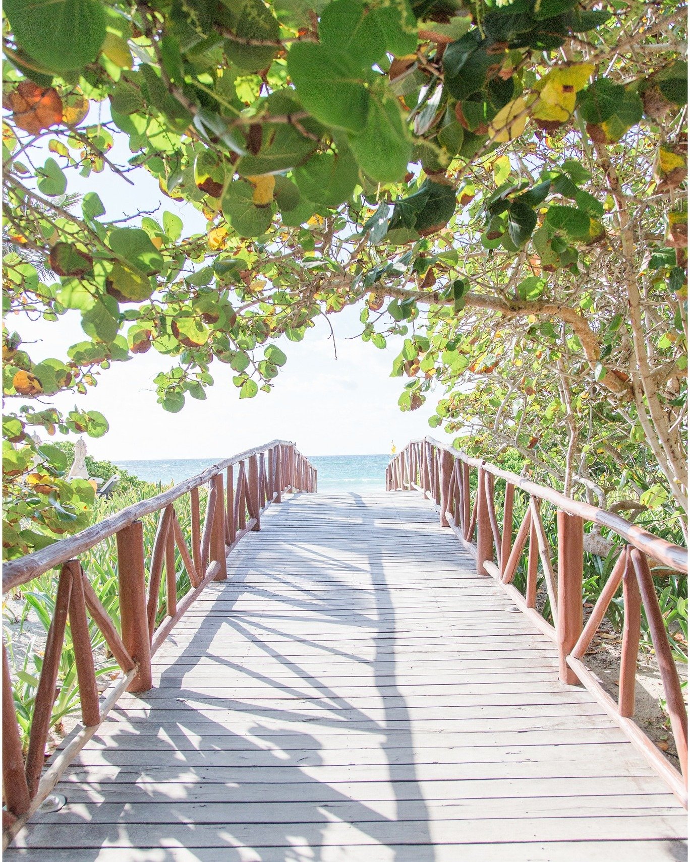 Missing these relaxed vacation vibes from last week in Mexico!
#mexico #riveriamaya #vacation #ginnyfilerphotography