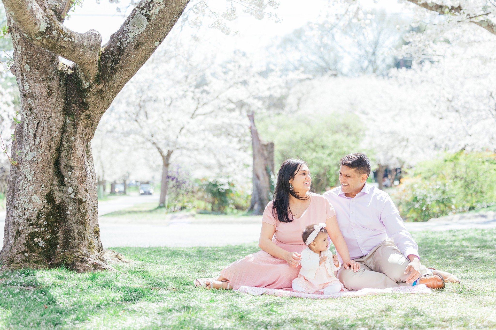 Basking in a cloud of pink blossoms....

.
.
.
.
.
#ginnyfilerphotography #gfpfamilies #familyphotography #dmvfamilyphotographer #marylandfamilyphotographer #kids #blessing #washpost #huffpostgram #portrait #familysession #familyphotographer  #washin