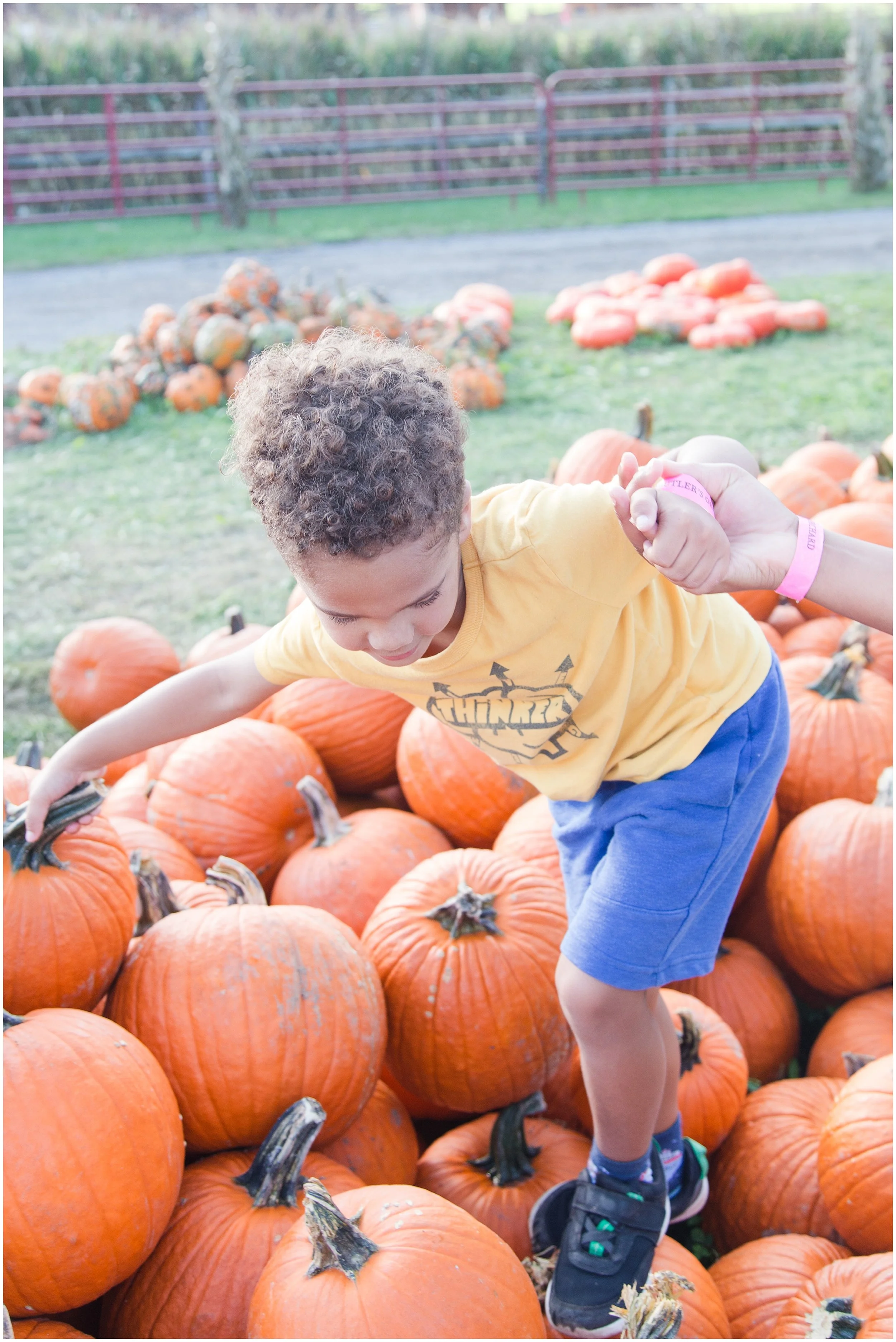 Butlers-pumpkin-orchard_0029.jpg