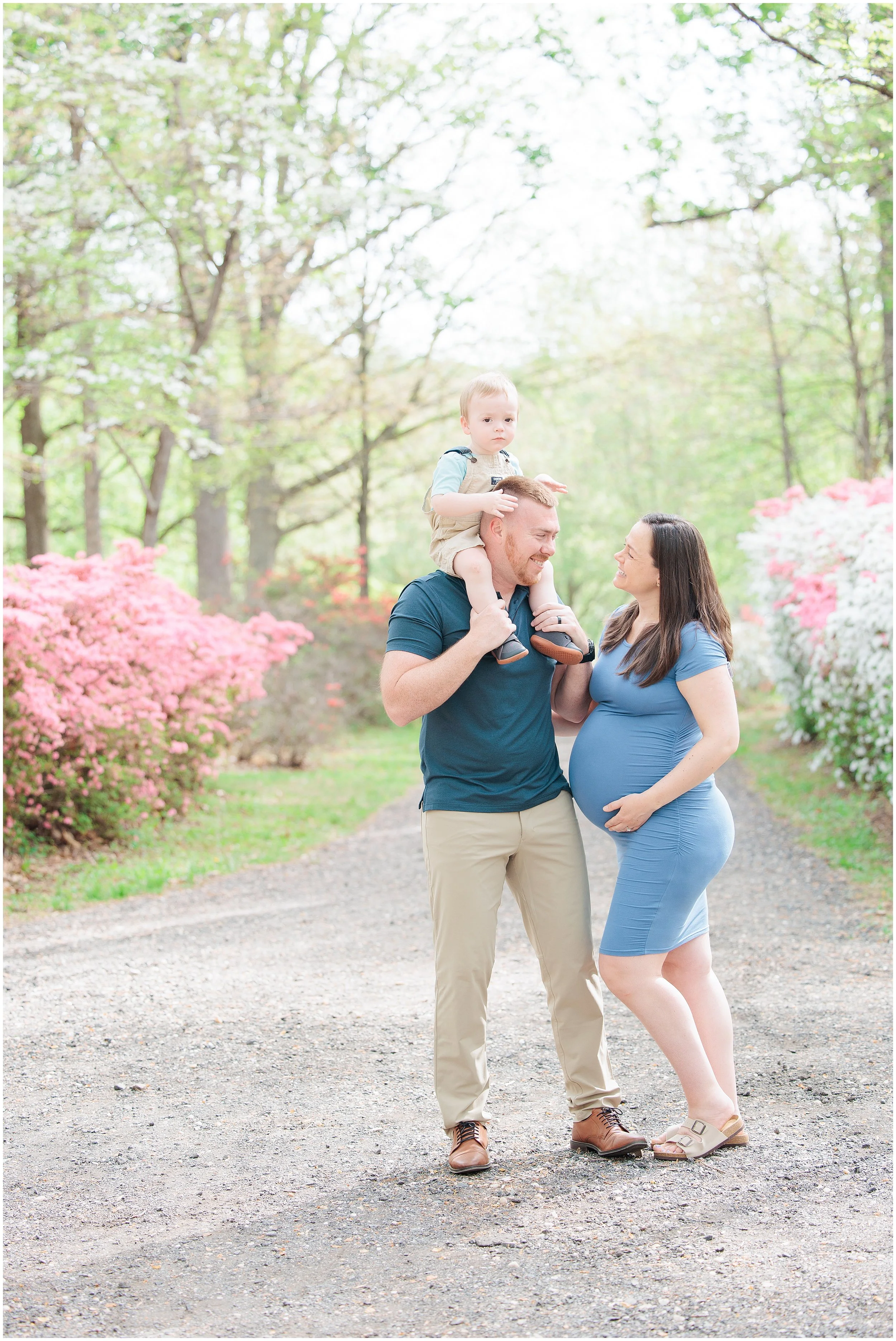 Brighton Dam Azalea Garden