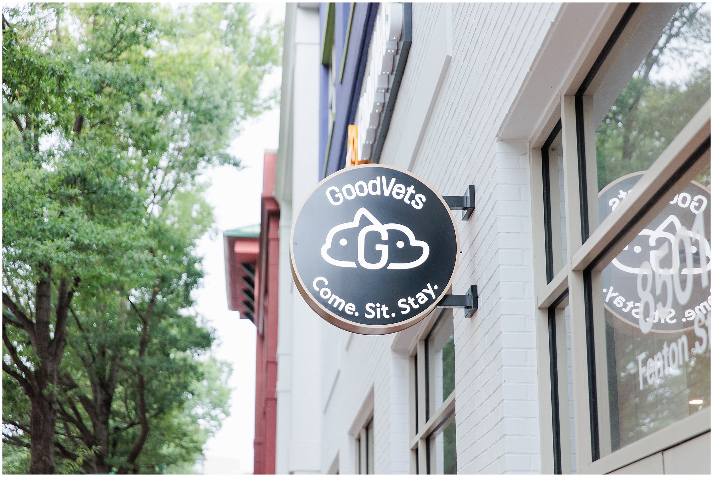 GoodVets-SilverSpring_0002.jpg