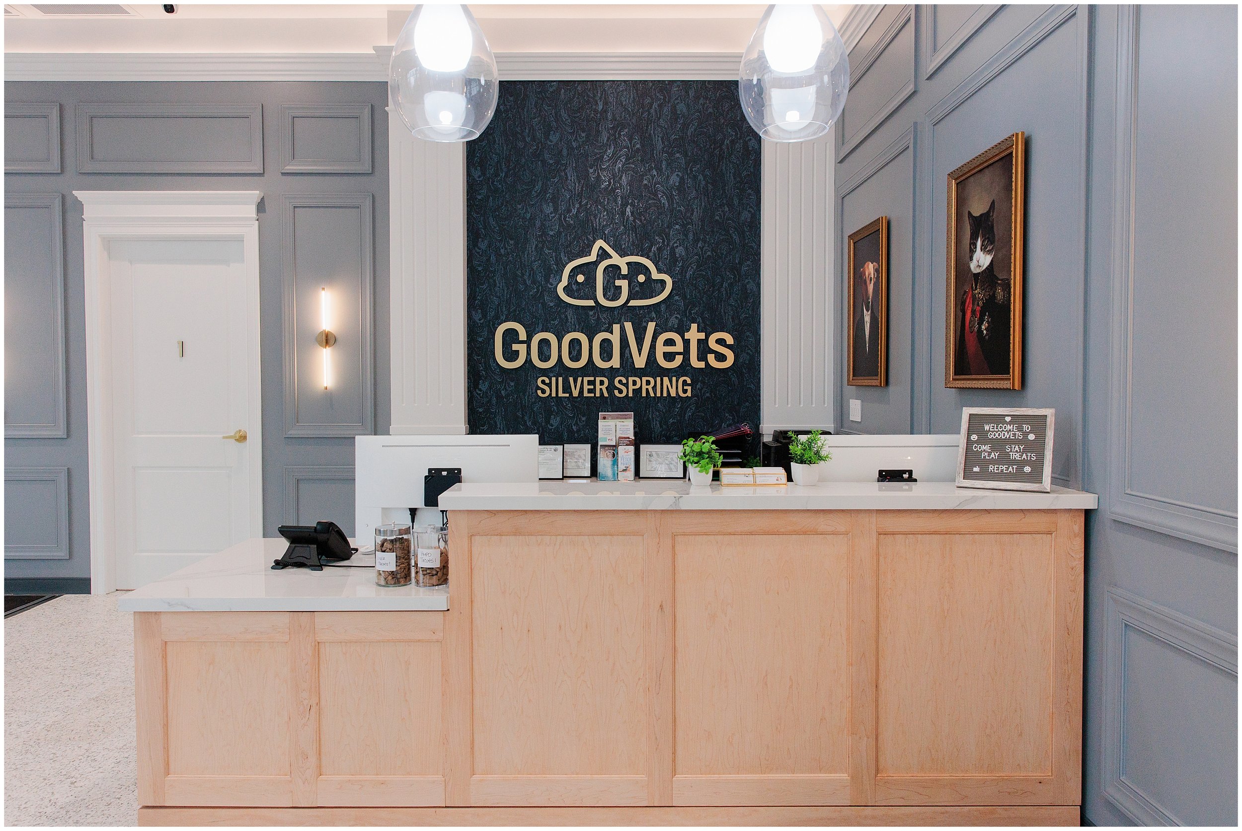 GoodVets-SilverSpring_0003.jpg