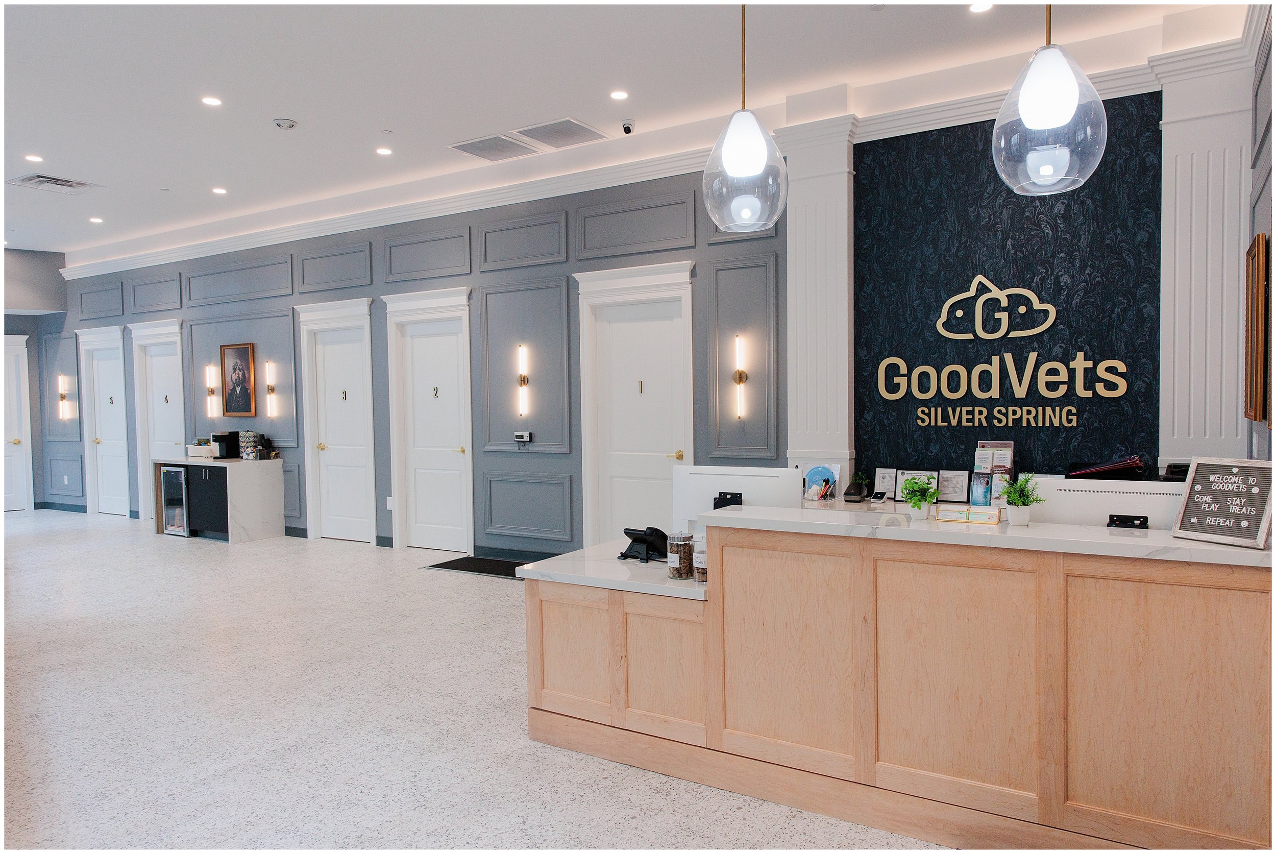 GoodVets-SilverSpring_0004.jpg