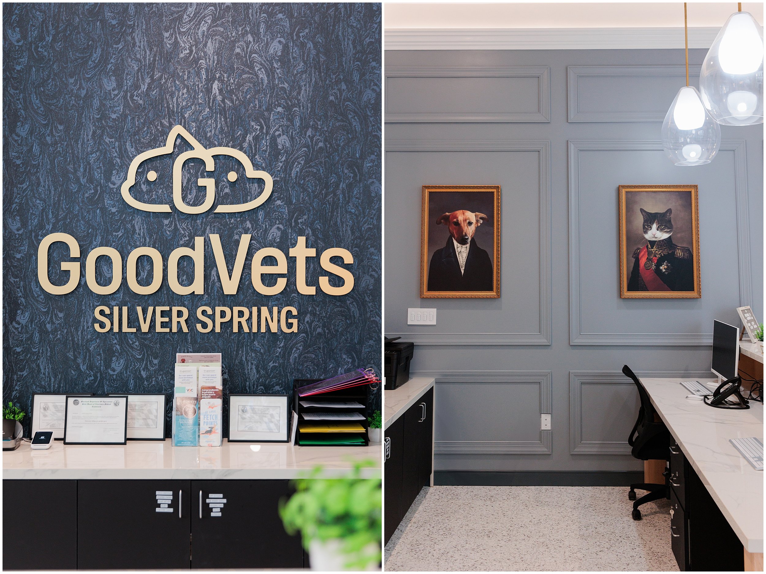 GoodVets-SilverSpring_0005.jpg