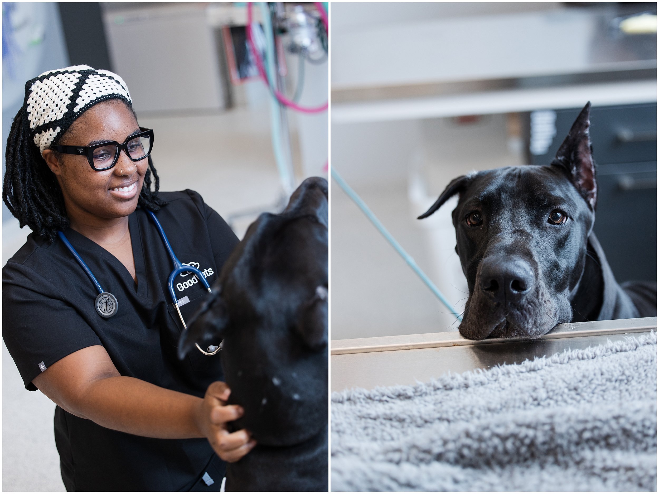 GoodVets-SilverSpring_0019.jpg
