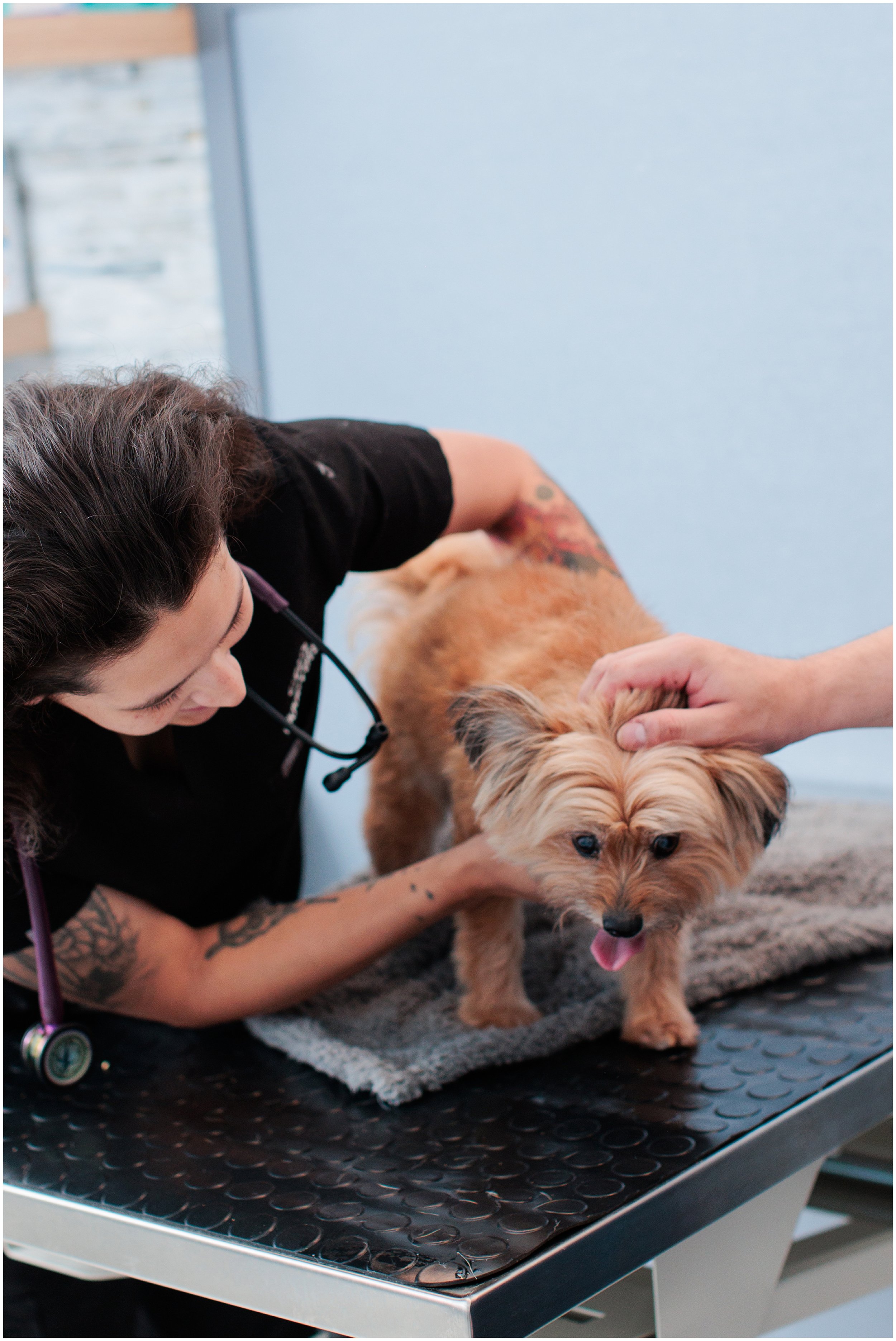 GoodVets-SilverSpring_0023.jpg
