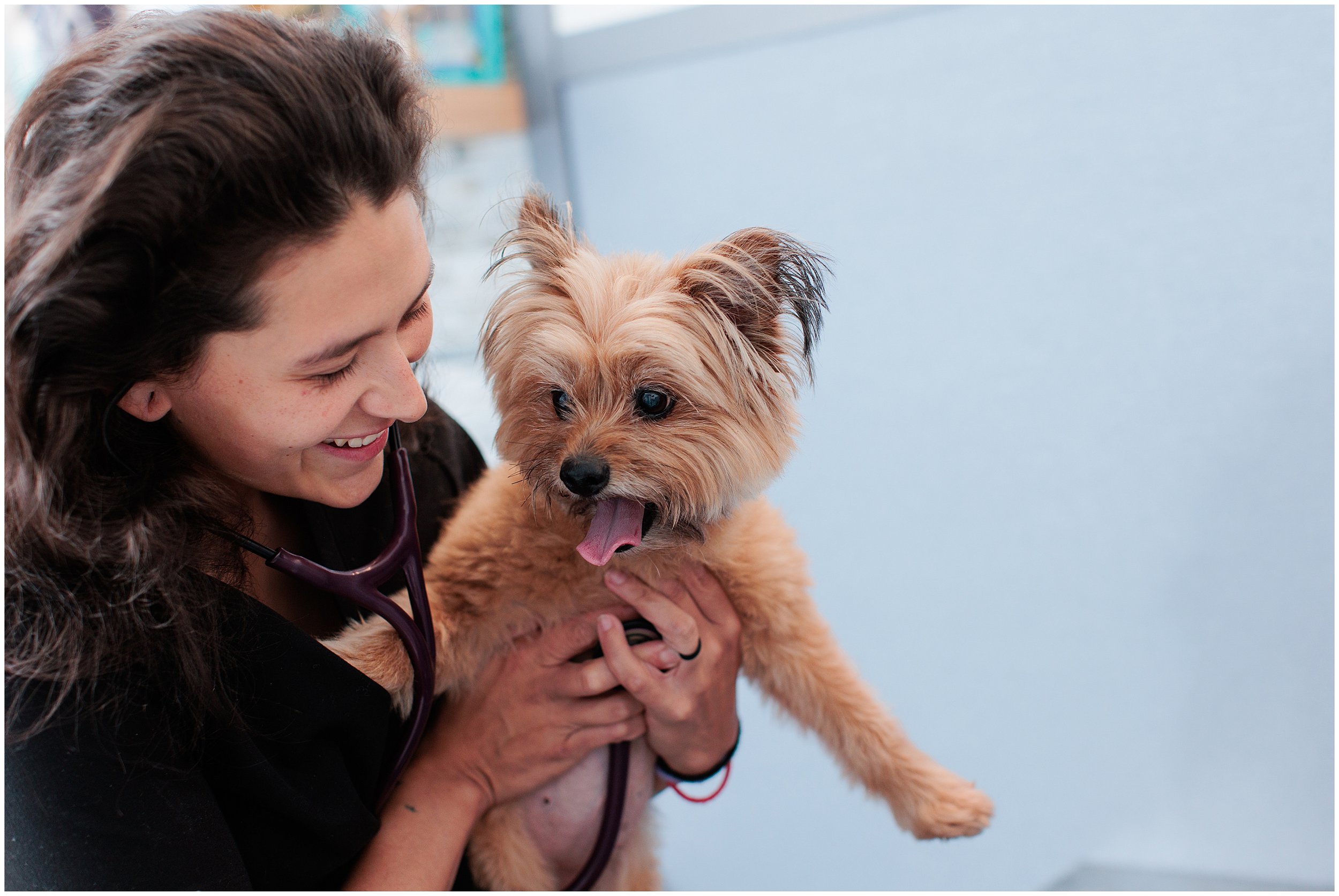 GoodVets-SilverSpring_0024.jpg