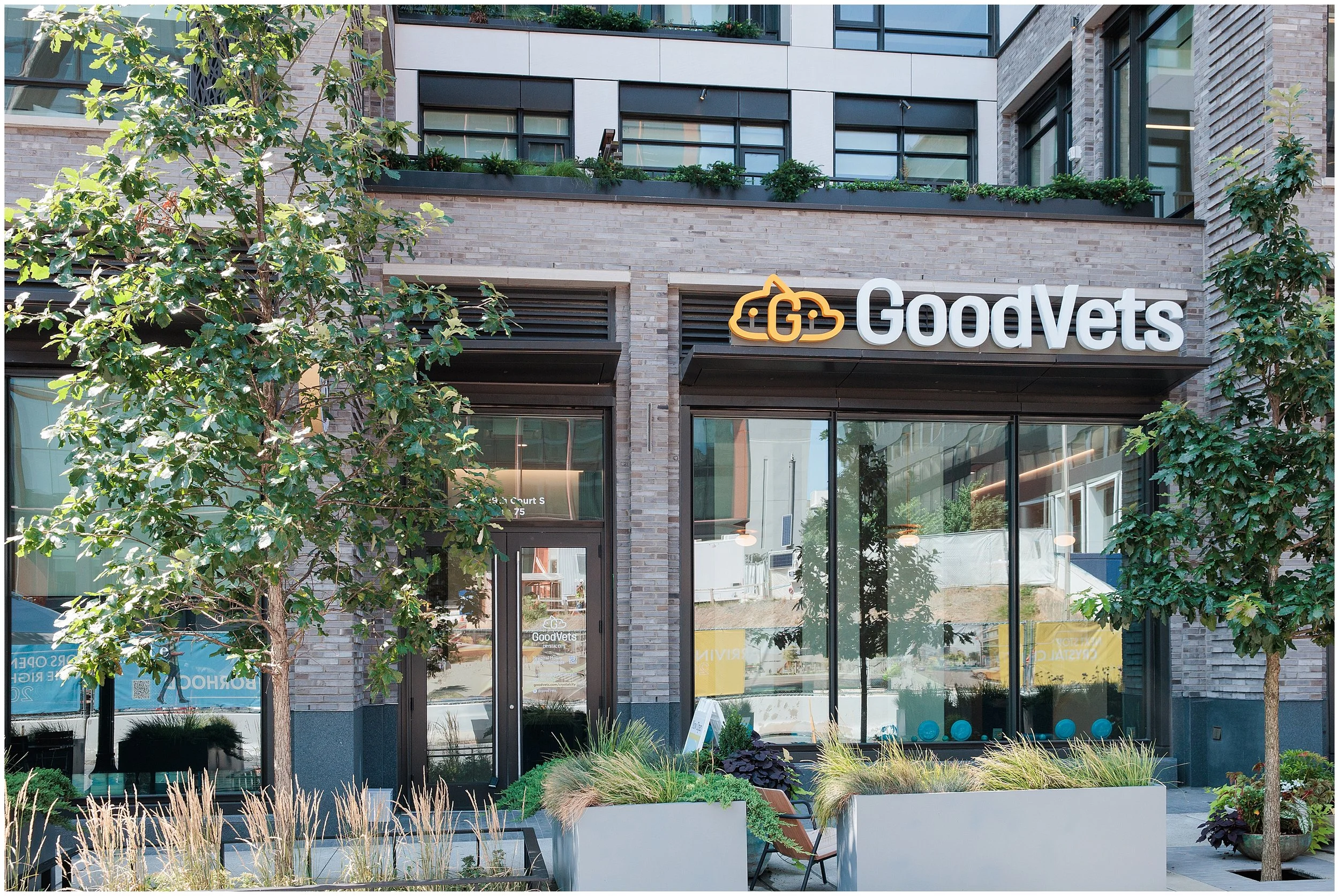 Goodvets-branding-crystalcity_0021.jpg