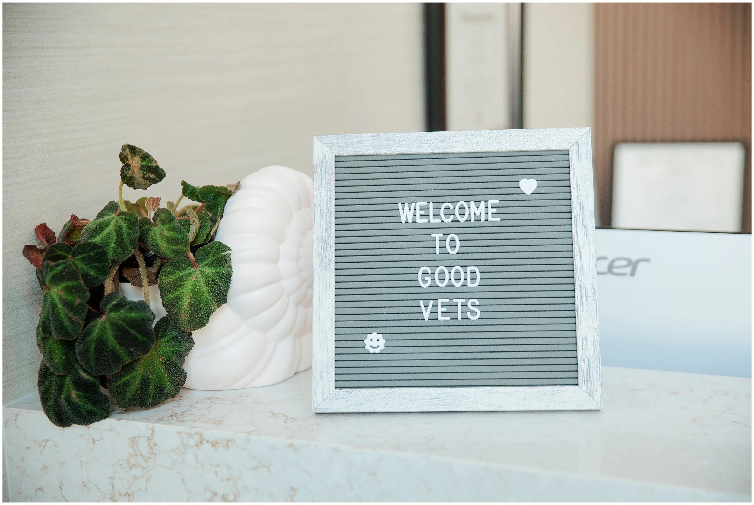 Goodvets-branding-crystalcity_0023.jpg