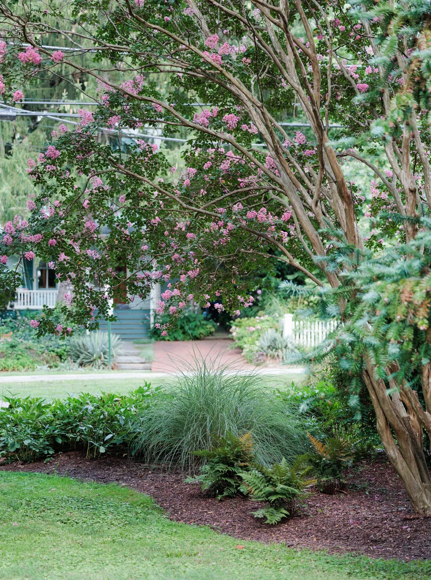 Love these late summer sessions and the colors! Every season has such unique beauty. ❤️

#ginnyfilerphotography #summerblooms #silverspringfamilysession #kensingtonparks #clumkennedypark #dmvfamilyphotographer