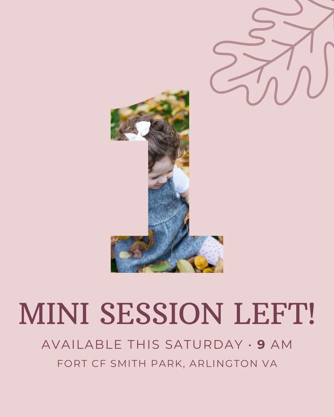 I have ONE mini session that just opened up for this Saturday at 9 AM at Fort CF Smith Park in Arlington, VA! If you thought you missed your opportunity for a mini session, this is your second chance! Come and join the fun - #linkinbio to sign up!!

